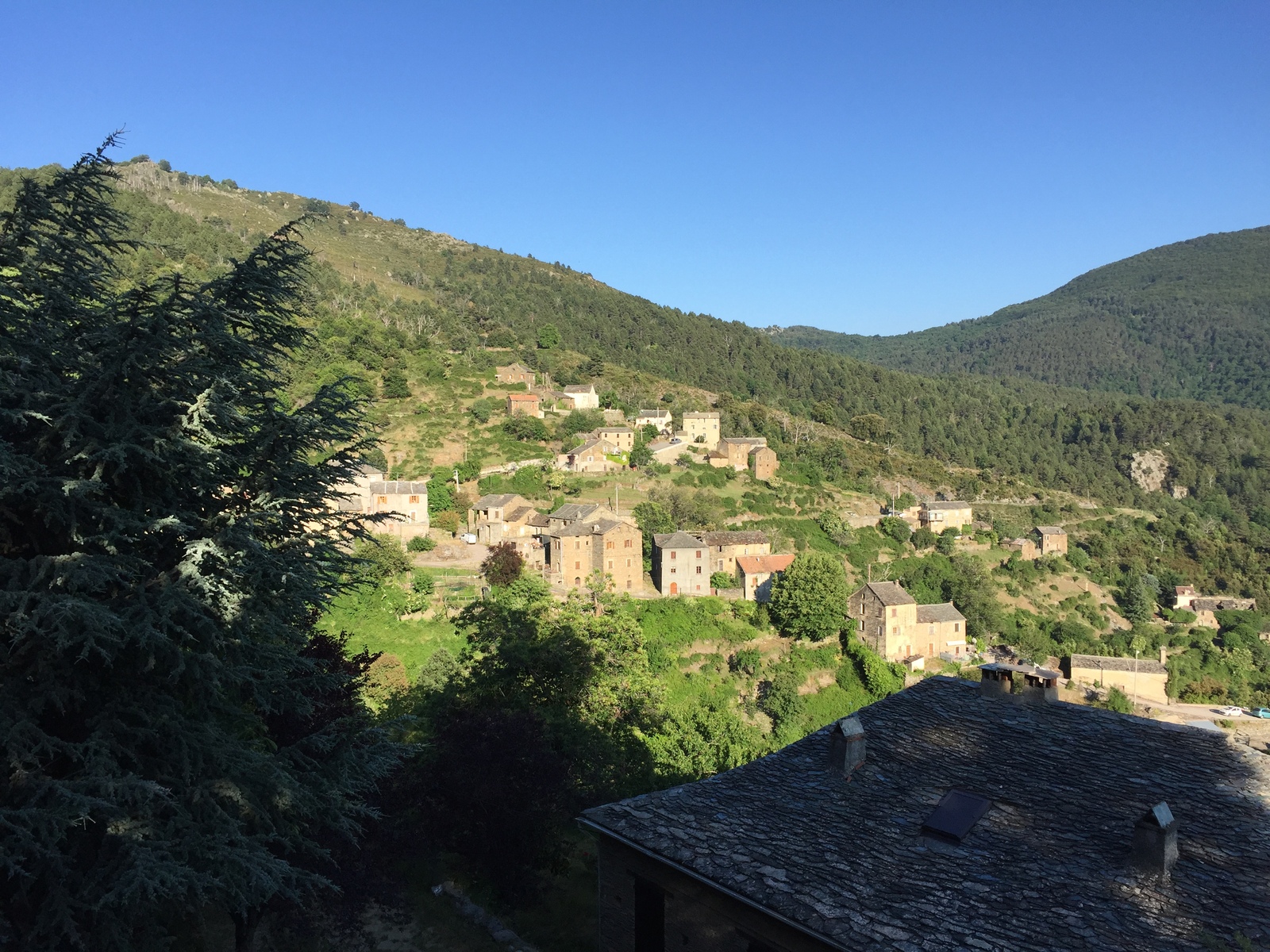 照片 法国(France) 科西嘉岛(Corsica) 卡斯塔尼恰(Castagniccia) 2015-05 0