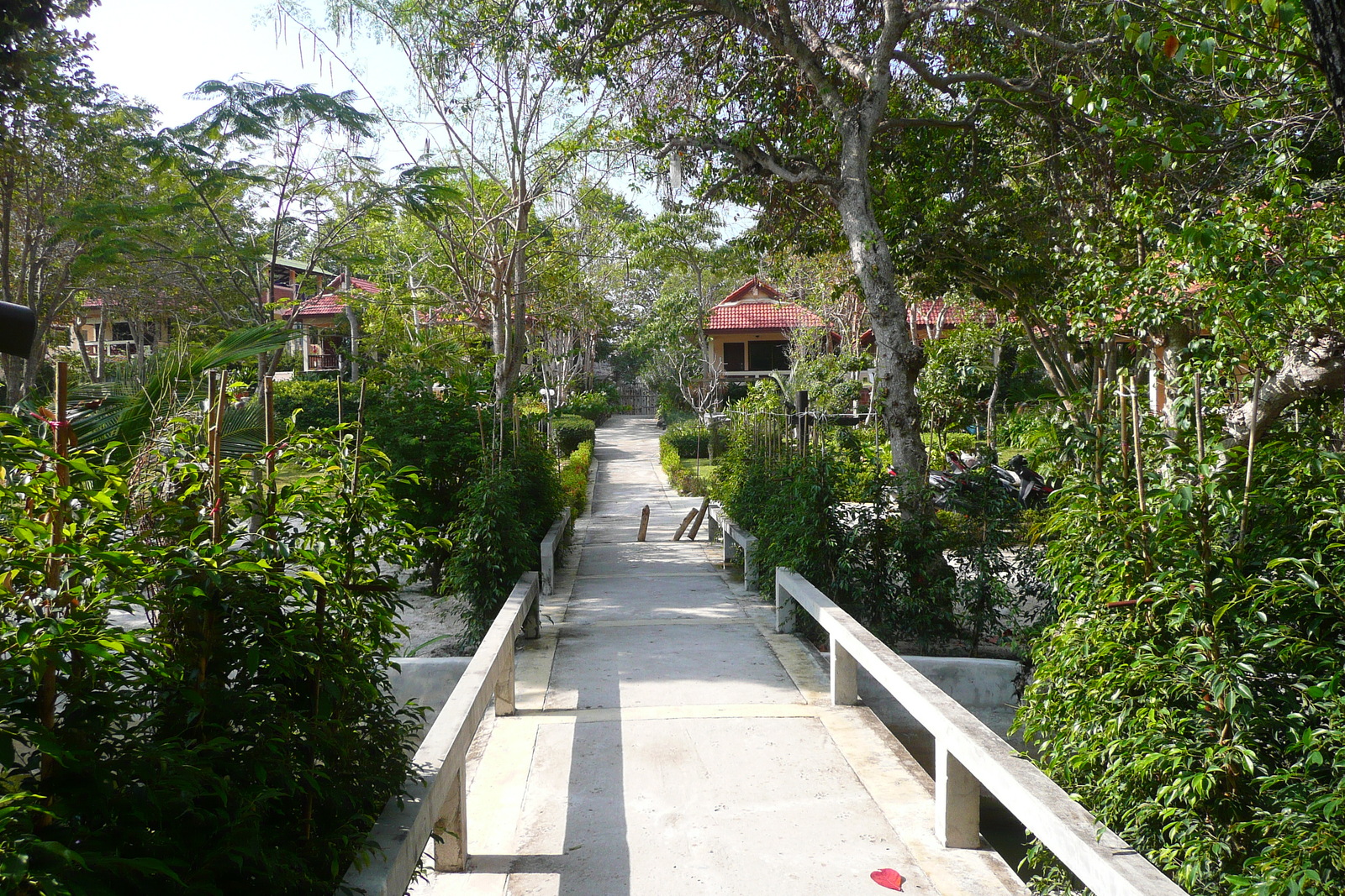 照片 泰国(Thailand) 沙美岛(Ko Samet) 乔湾(Ao Cho) 2009-01 5