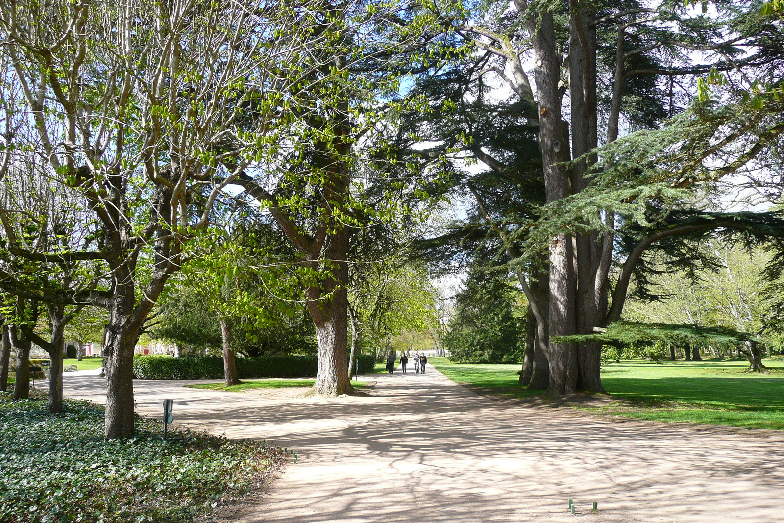 照片 法国(France) 舍农索城堡(Chenonceau Castle) 舍农索城堡花园(Gardens of Chenonceau) 2008-04 3