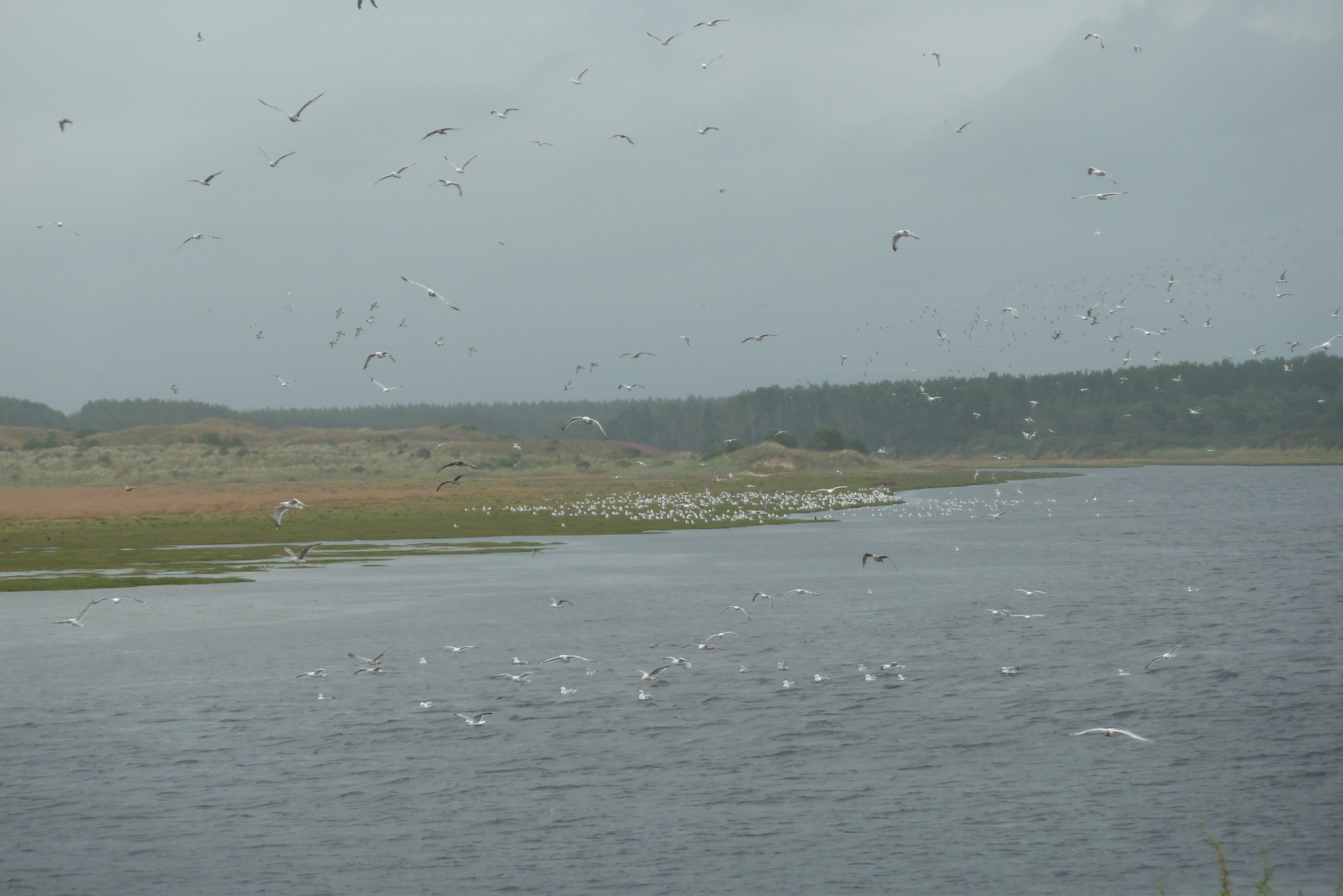 照片 英国(United Kingdom) 苏格兰(Scotland) 洛西茅斯(Lossiemouth) 2011-07 12
