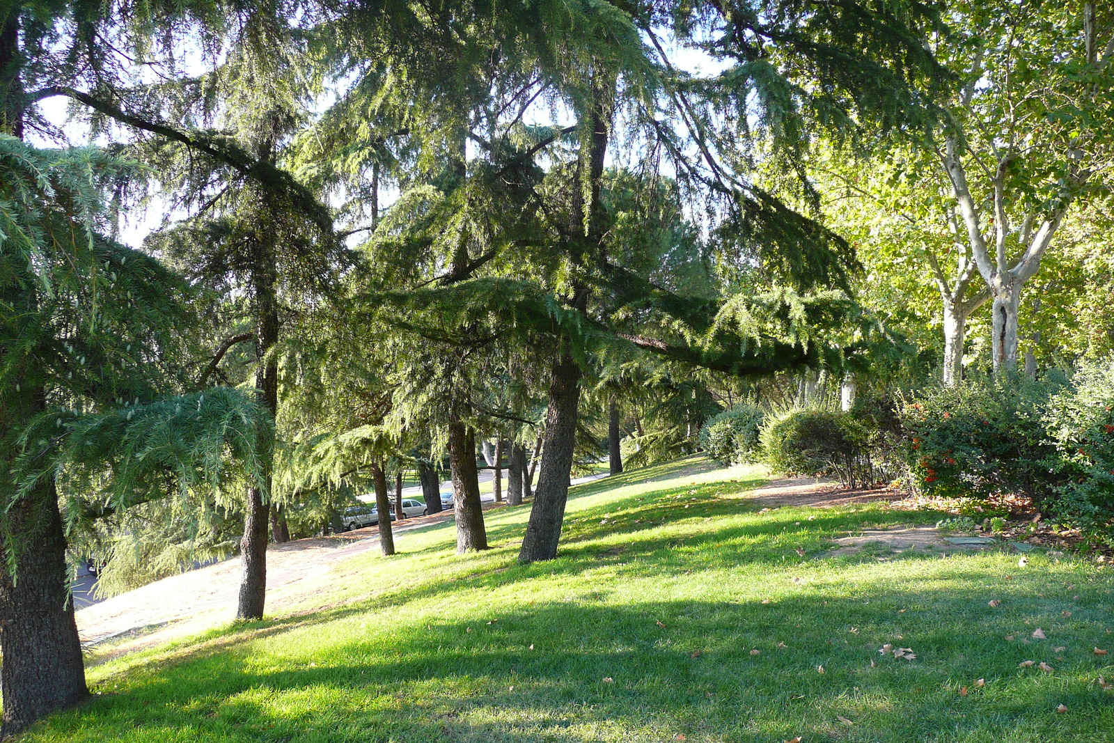 照片 西班牙(Spain) 马德里(Madrid) 西方公园(Parque del Oeste) 2007-09 35
