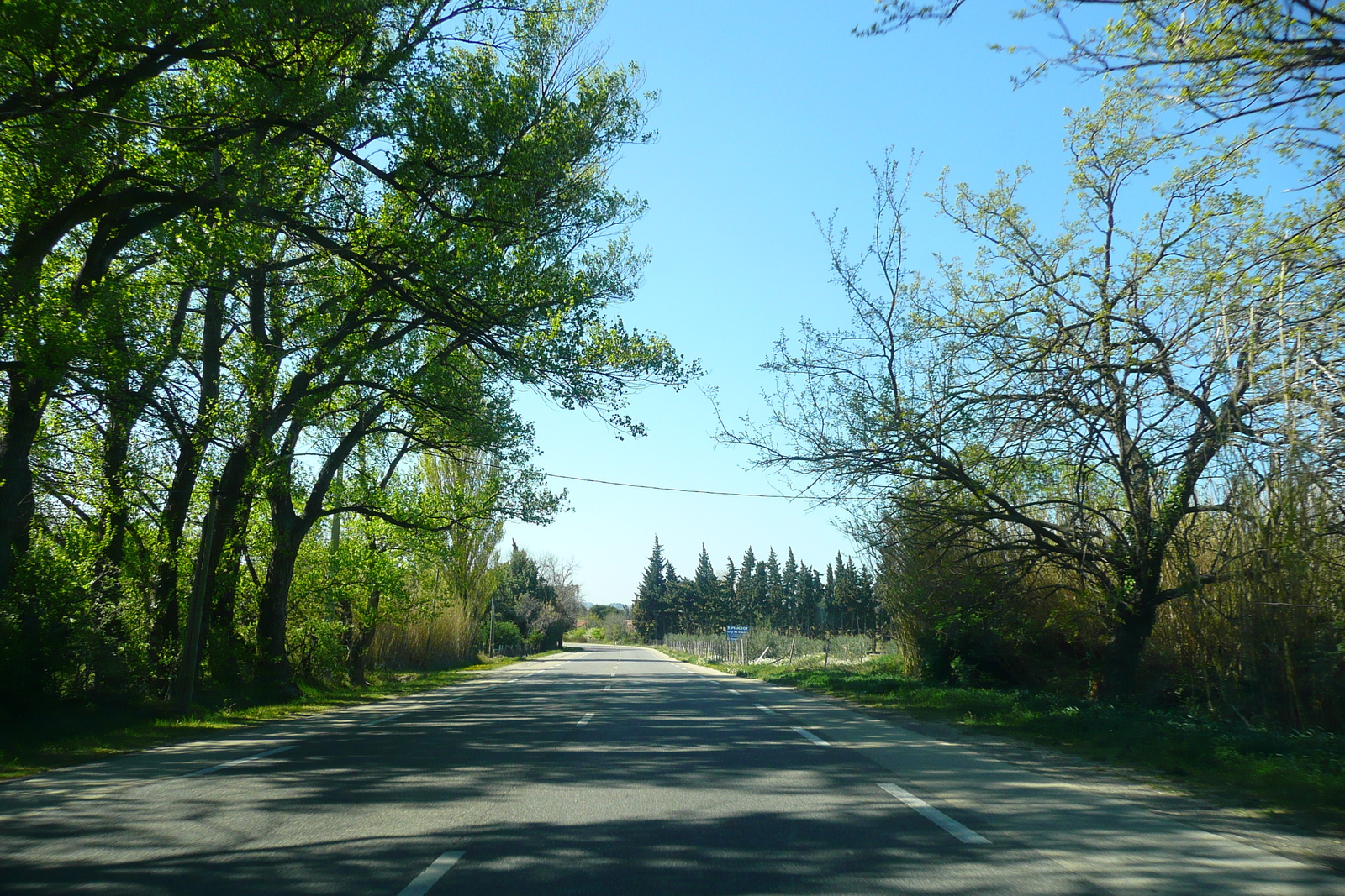 照片 法国(France) 普罗旺斯(Provence) 穆里耶至莱博公路(Mouries to Baux de Provence road) 2008-04 24