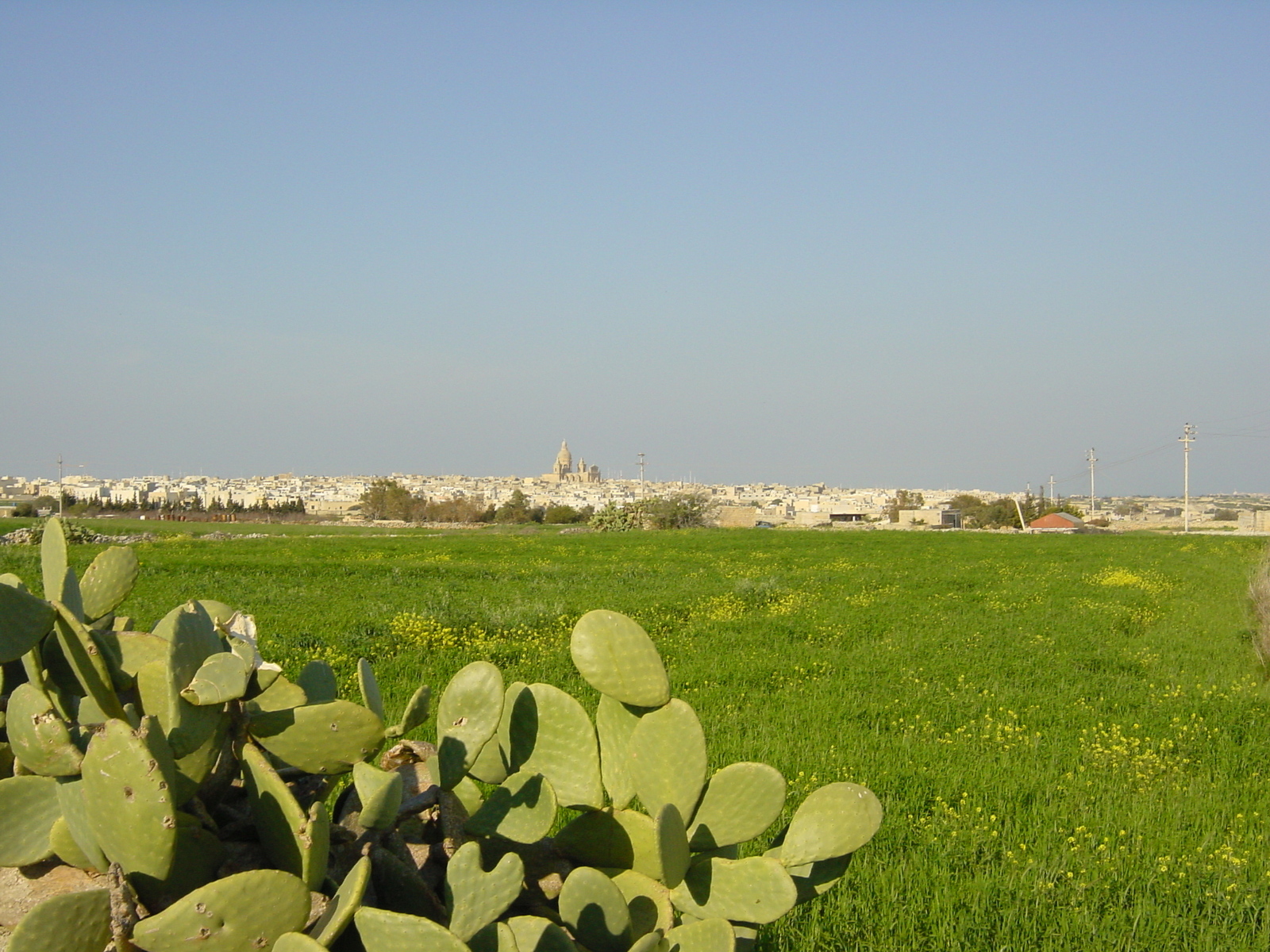 照片 马耳他(Malta) 姆迪纳周边(Around Mdina) 2003-03 8