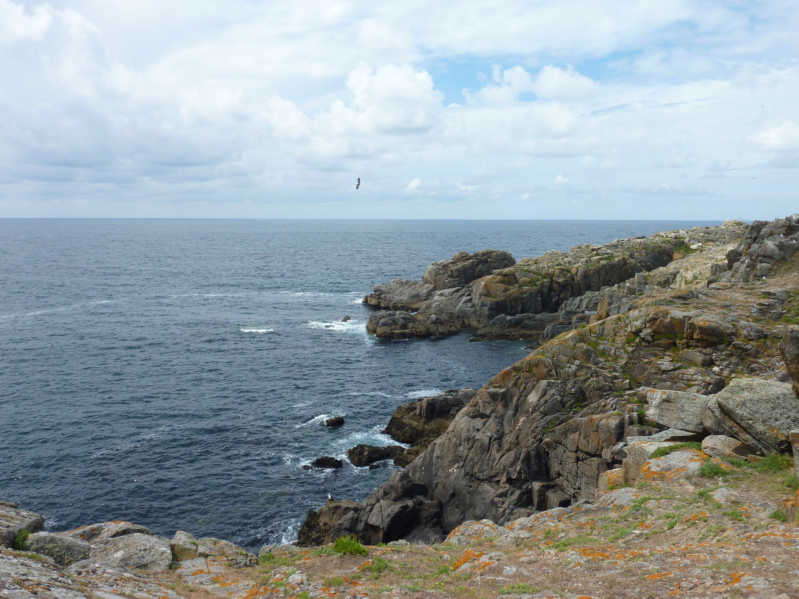 照片 法国(France) 伊厄岛(Ile d'yeu) 2009-07 77