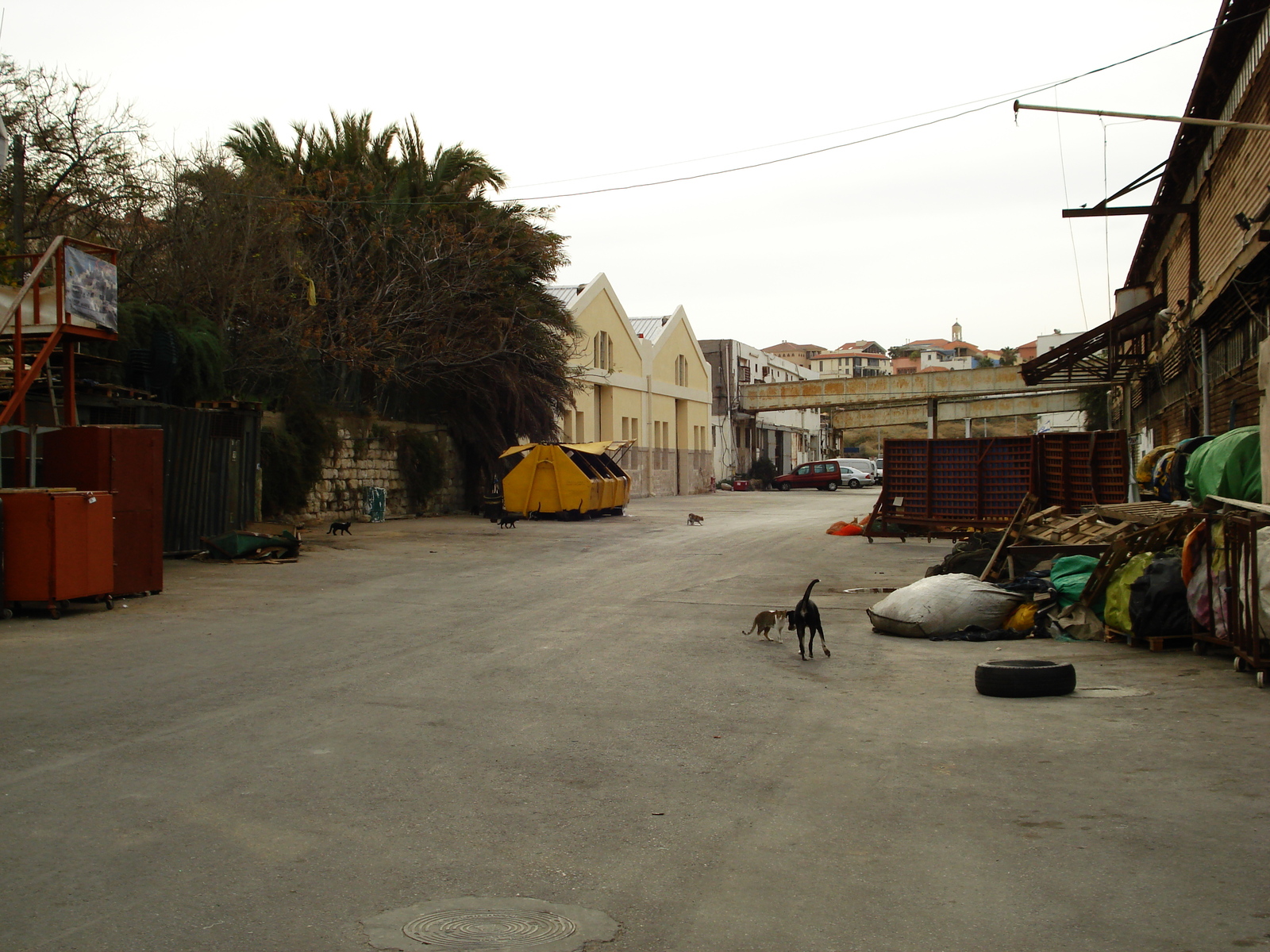 照片 以色列(Israel) 雅法(Jaffa) 2006-12 255