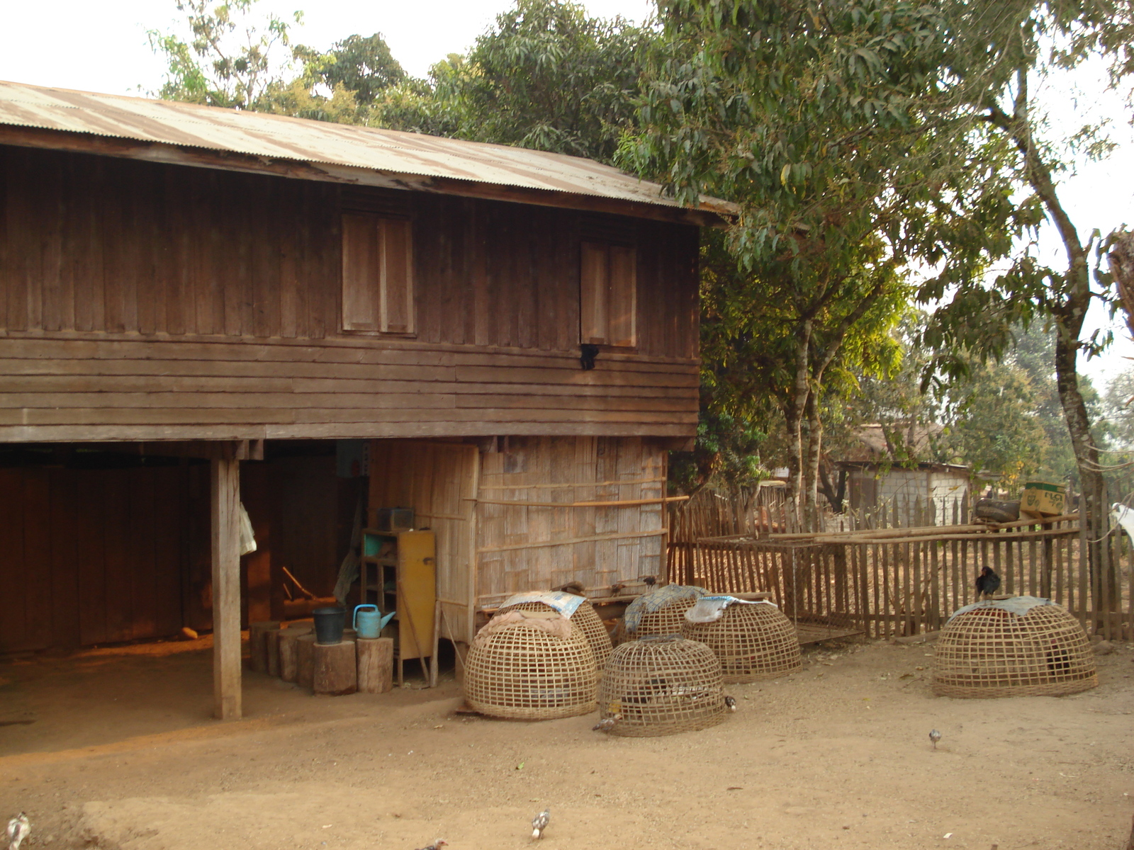 照片 泰国(Thailand) 邦玛帕(Pang Mapha) 2007-02 76