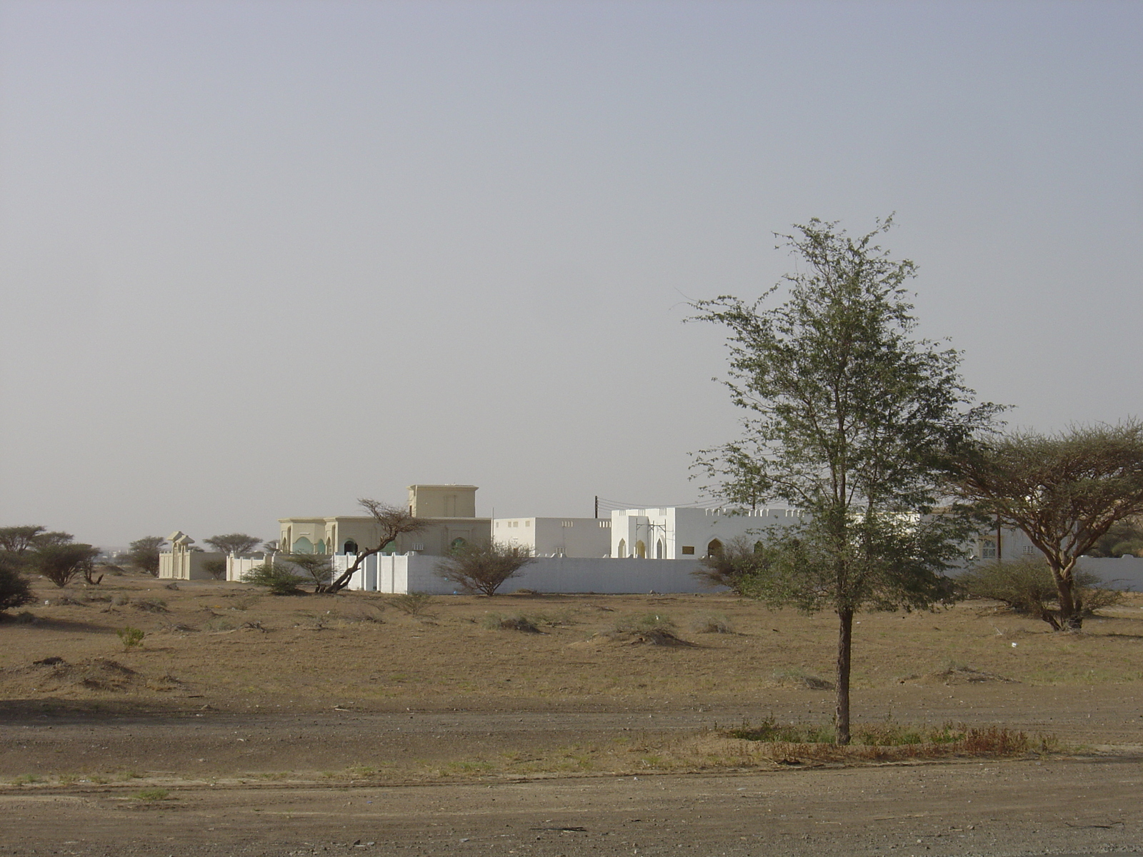 照片 阿曼(Oman) 布赖米(Buraimi) 2005-03 1