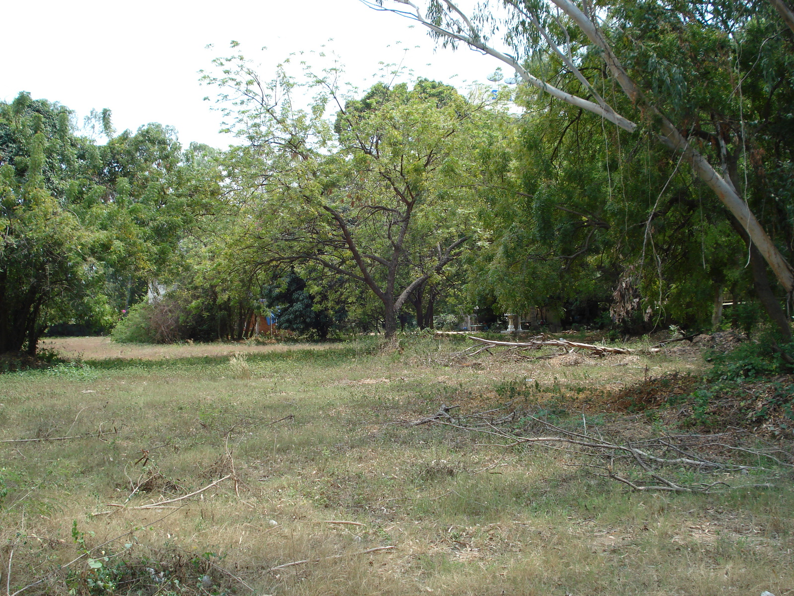 照片 泰国(Thailand) 芭提雅海滩(Pattaya Beach) 2007-02 16
