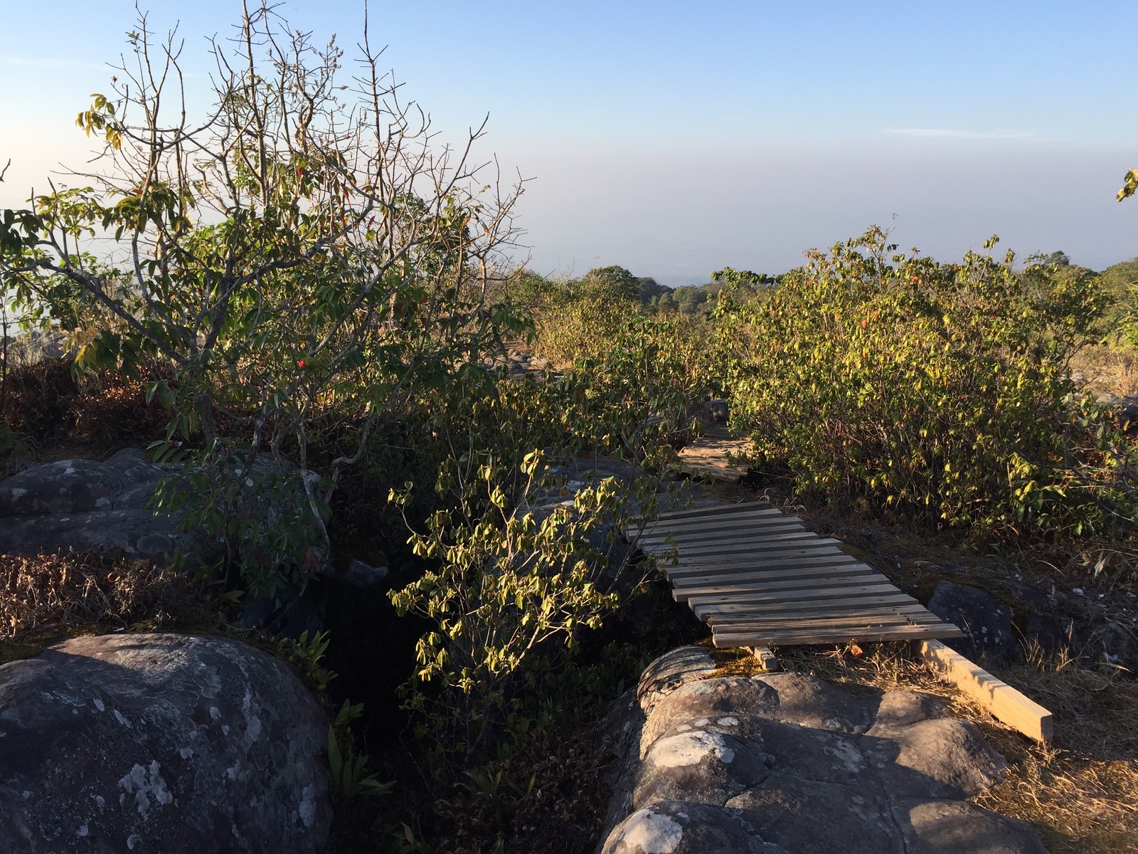 照片 泰国(Thailand) 普欣隆卡国家公园(Phu Hin Rong Kla National Park) 2014-12 83