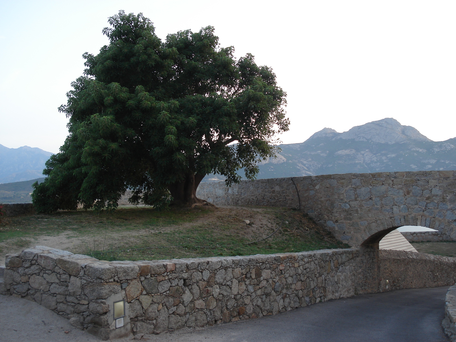 照片 法国(France) 科西嘉岛(Corsica) 卡尔维(Calvi) 2006-09 1
