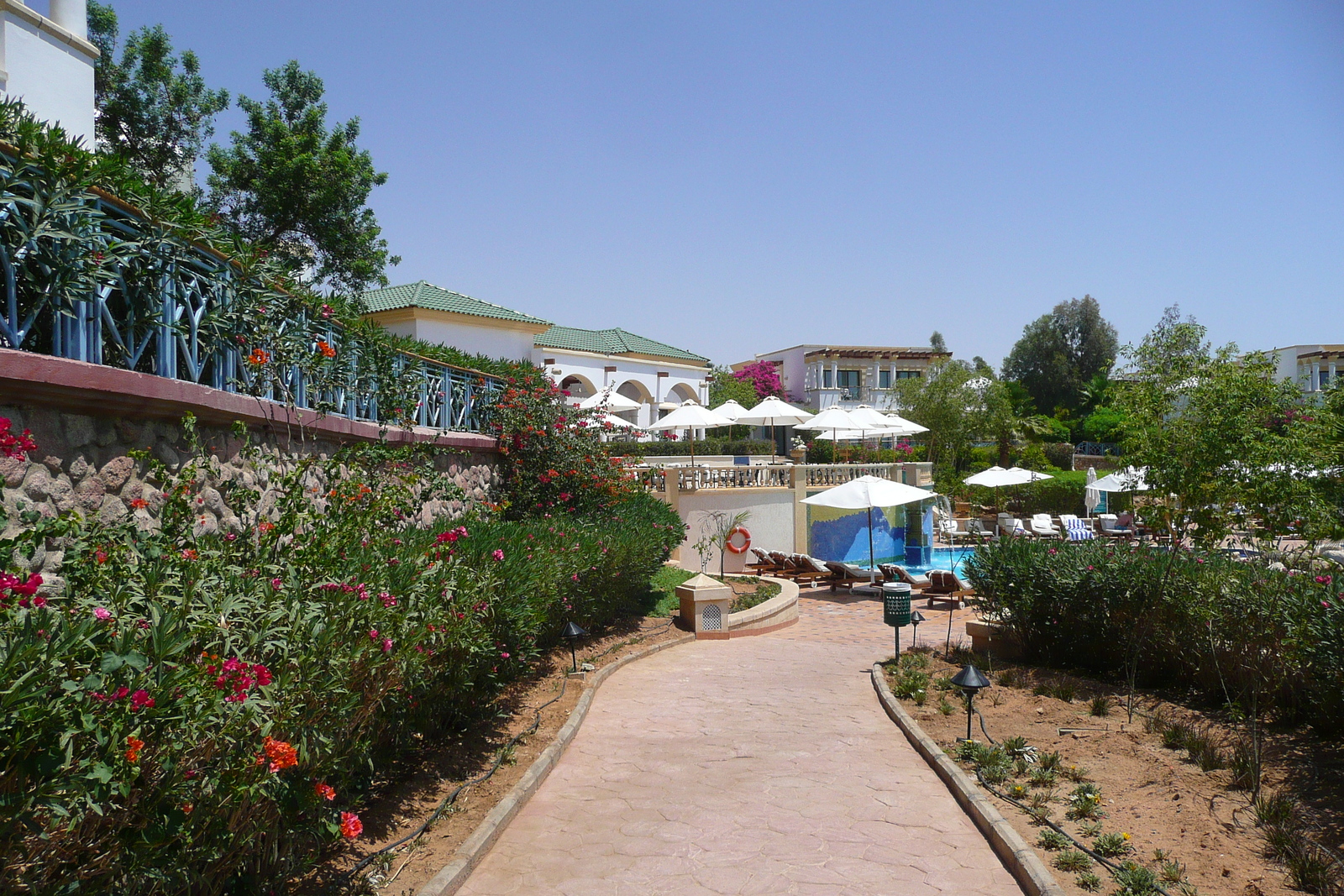 照片 埃及(Egypt) 沙姆沙伊赫(Sharm el Sheikh) 凯悦酒店(Hyatt Hotel) 沙姆沙伊赫凯悦泳池(Hyatt Sharm el Sheikh Pool) 2008-06 1