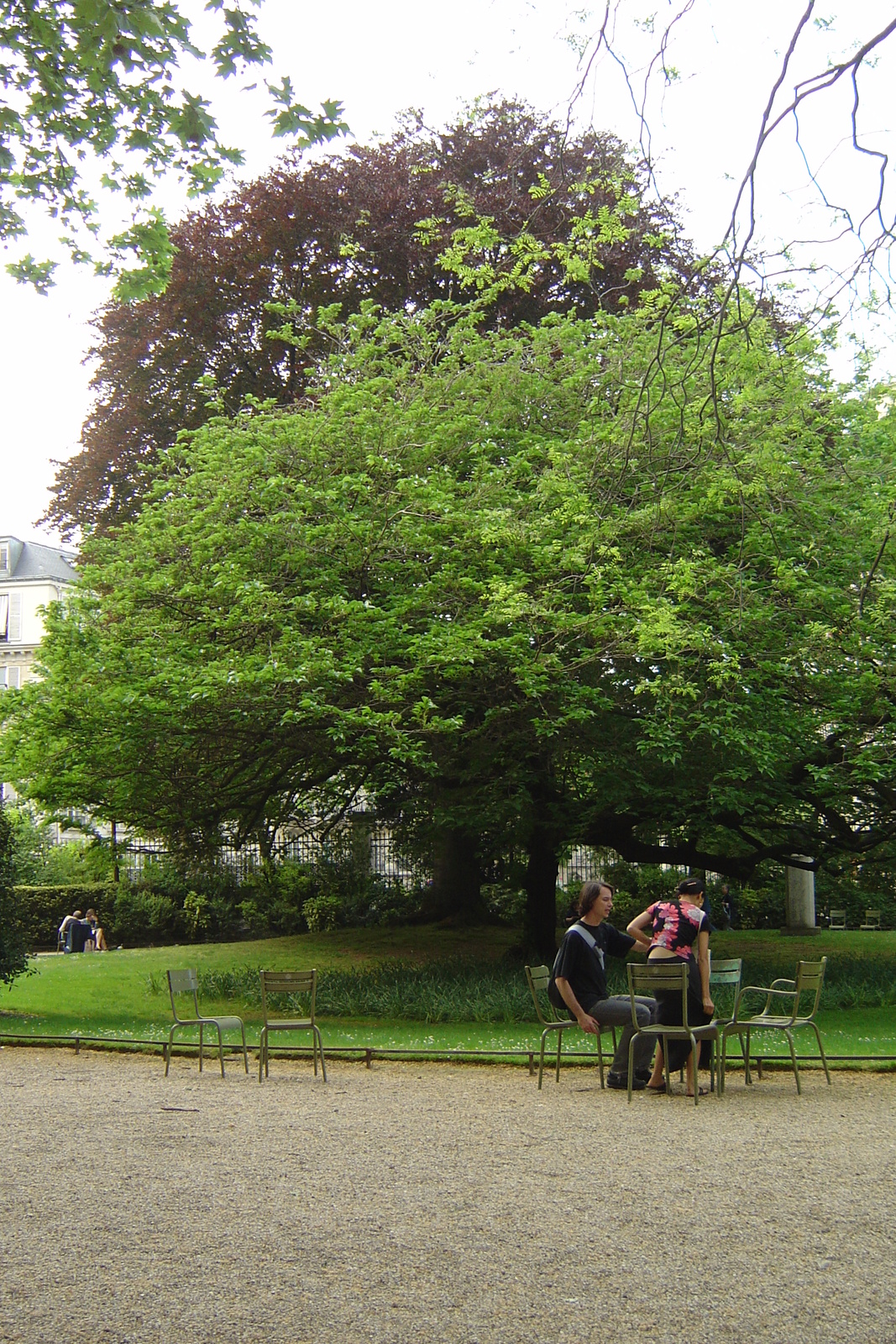 照片 法国(France) 巴黎(Paris) 卢森堡公园(Luxembourg Garden) 2007-04 74