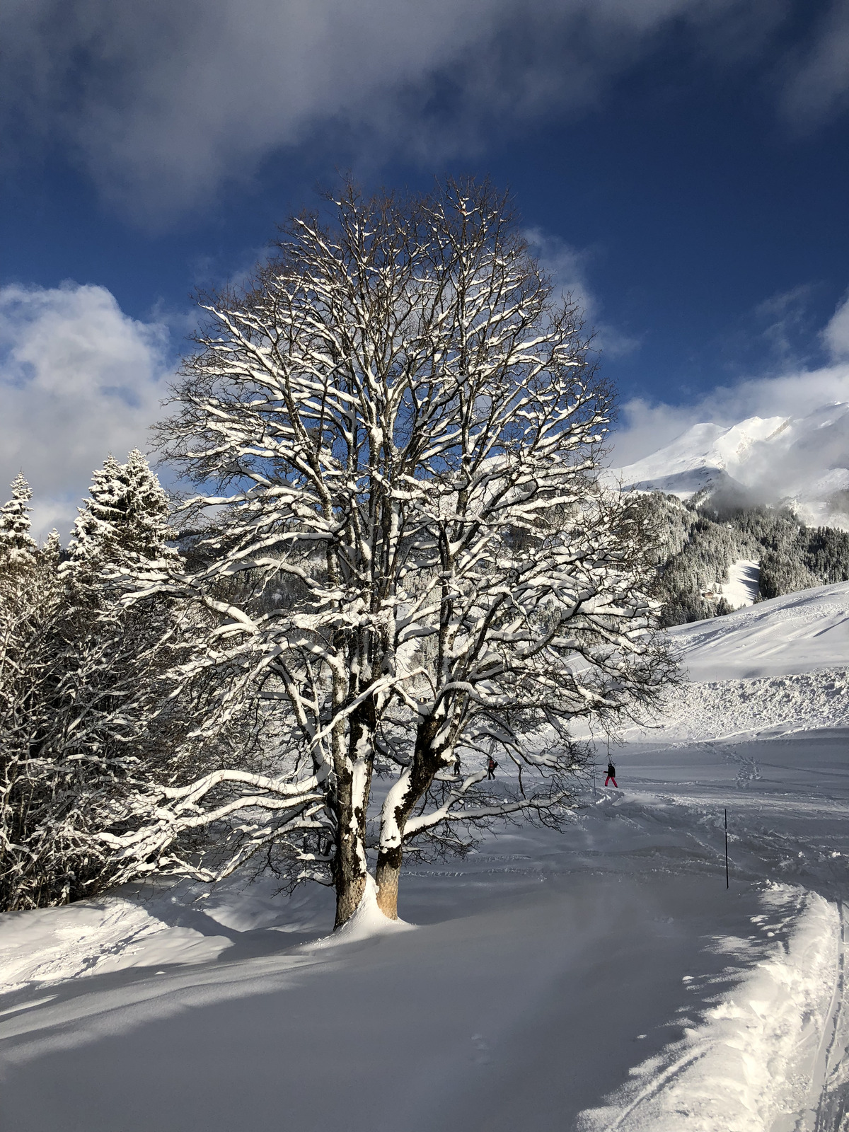 照片 法国(France) 拉克吕萨(La Clusaz) 2017-12 64