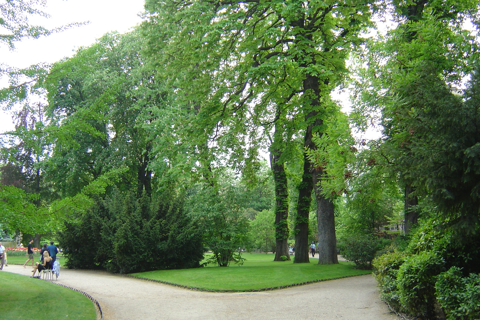 照片 法国(France) 巴黎(Paris) 卢森堡公园(Luxembourg Garden) 2007-04 103