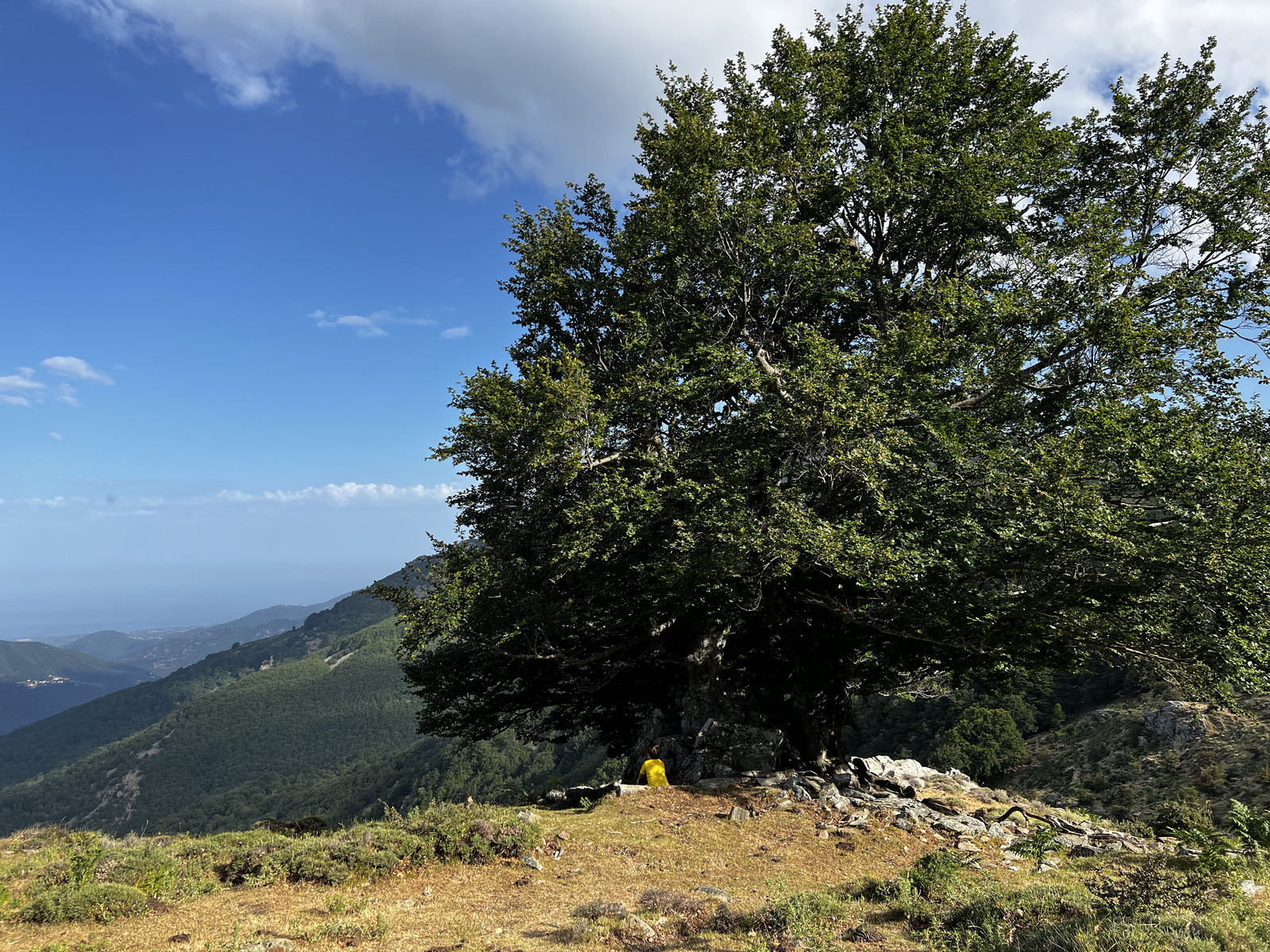 照片 法国(France) 科西嘉岛(Corsica) 卡莱鲁丘山屋(Refuge de Callerucciu) 2022-06 61