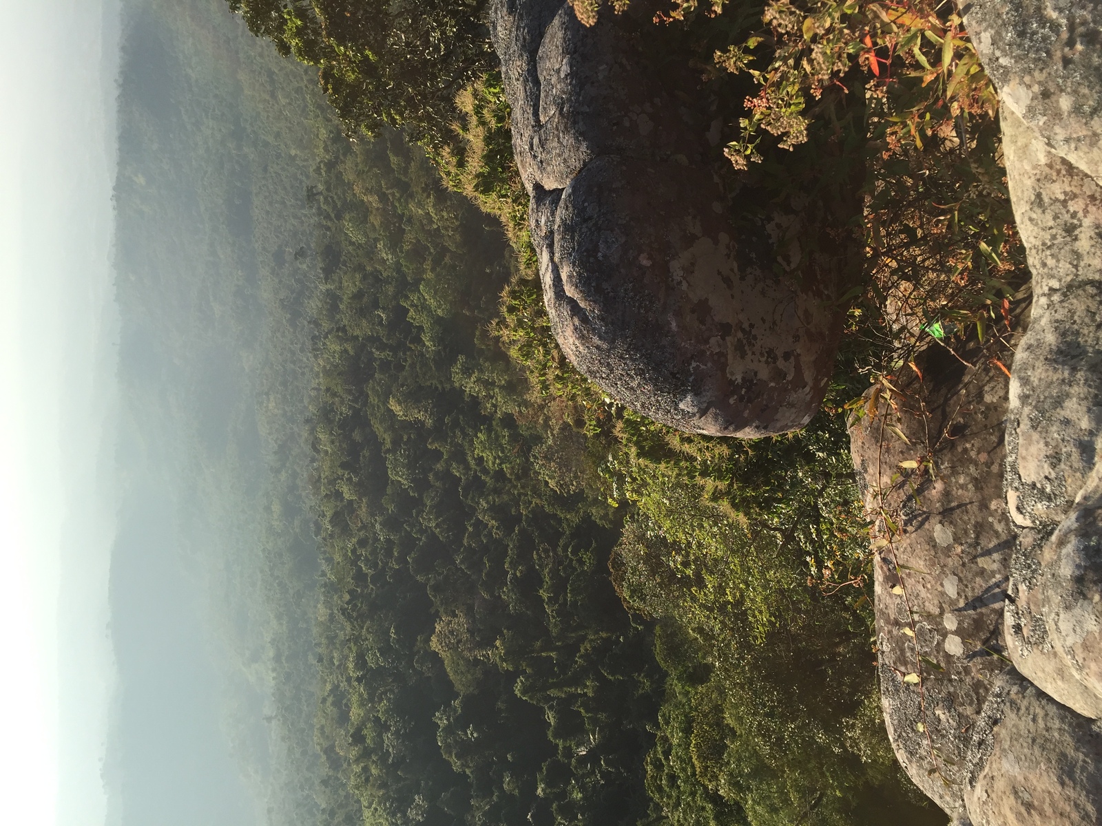照片 泰国(Thailand) 普欣隆卡国家公园(Phu Hin Rong Kla National Park) 2014-12 27