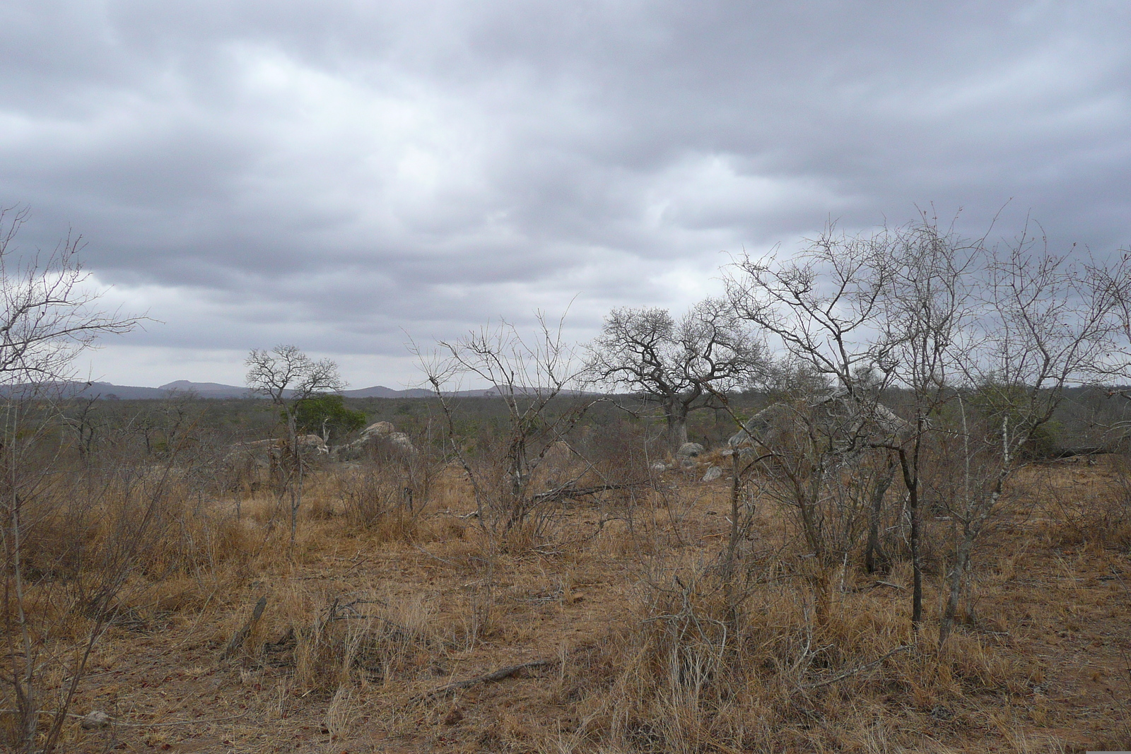 照片 南非(South Africa) 克鲁格国家公园(Kruger National Park) 鳄鱼河公路(Crocodile River road) 2008-09 11