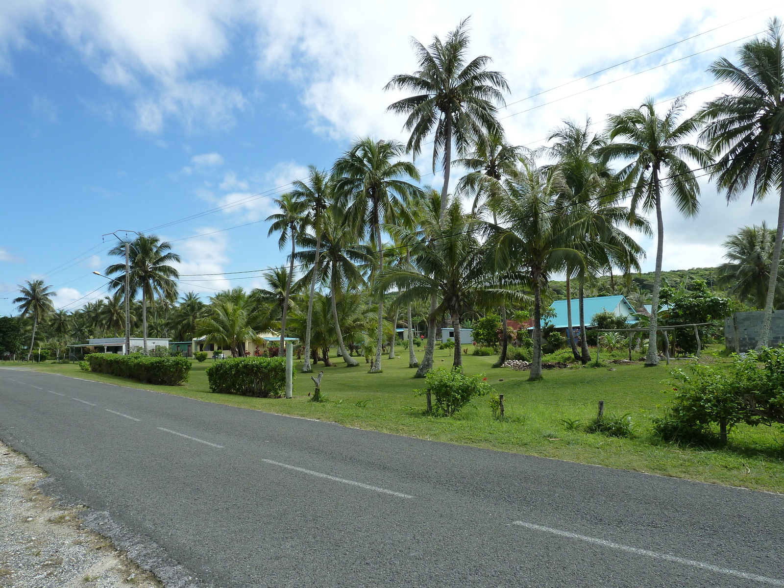 照片 新喀里多尼亚(New Caledonia) 利富岛(Lifou) 海龟湾(Baie des tortues) 2010-05 13