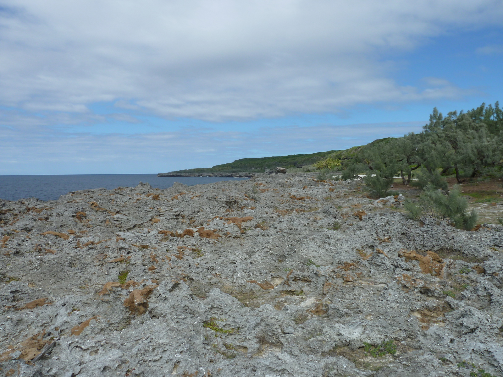 照片 新喀里多尼亚(New Caledonia) 利富岛(Lifou) 肖德雷悬崖(Xodre Cliffs) 2010-05 20