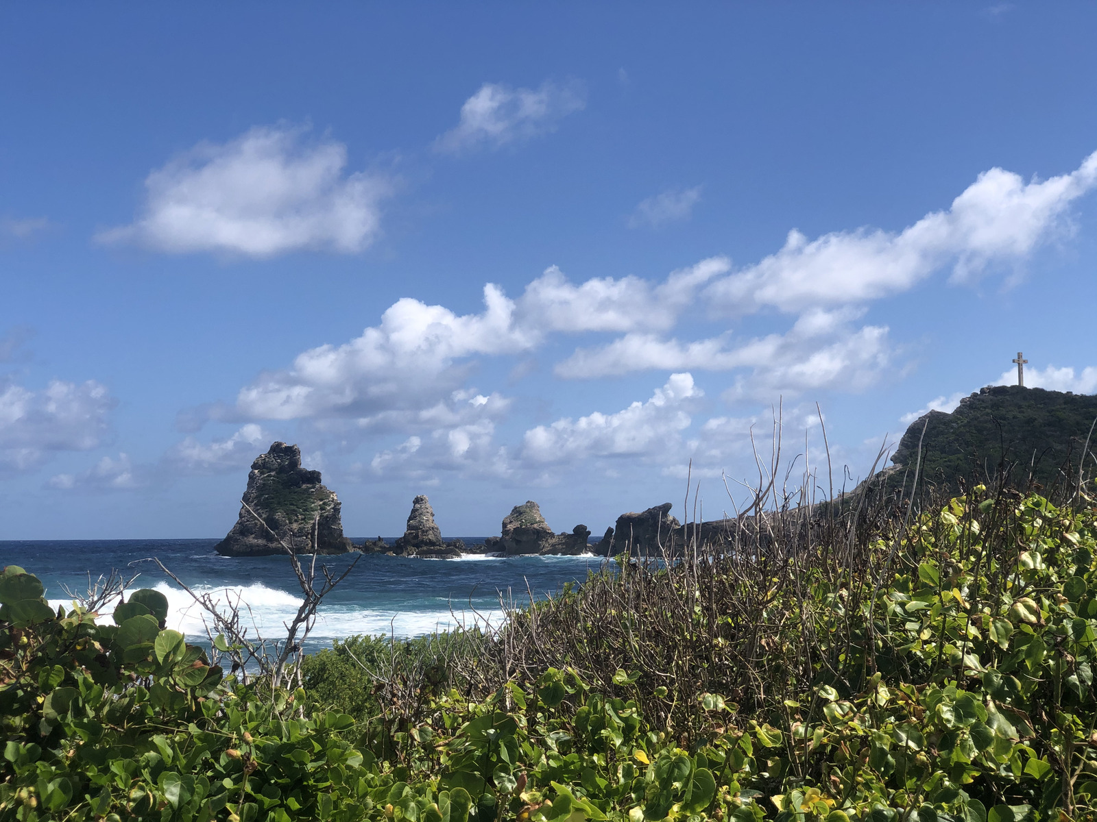 照片 瓜德罗普(Guadeloupe) 城堡角(Castle Point) 2021-02 62