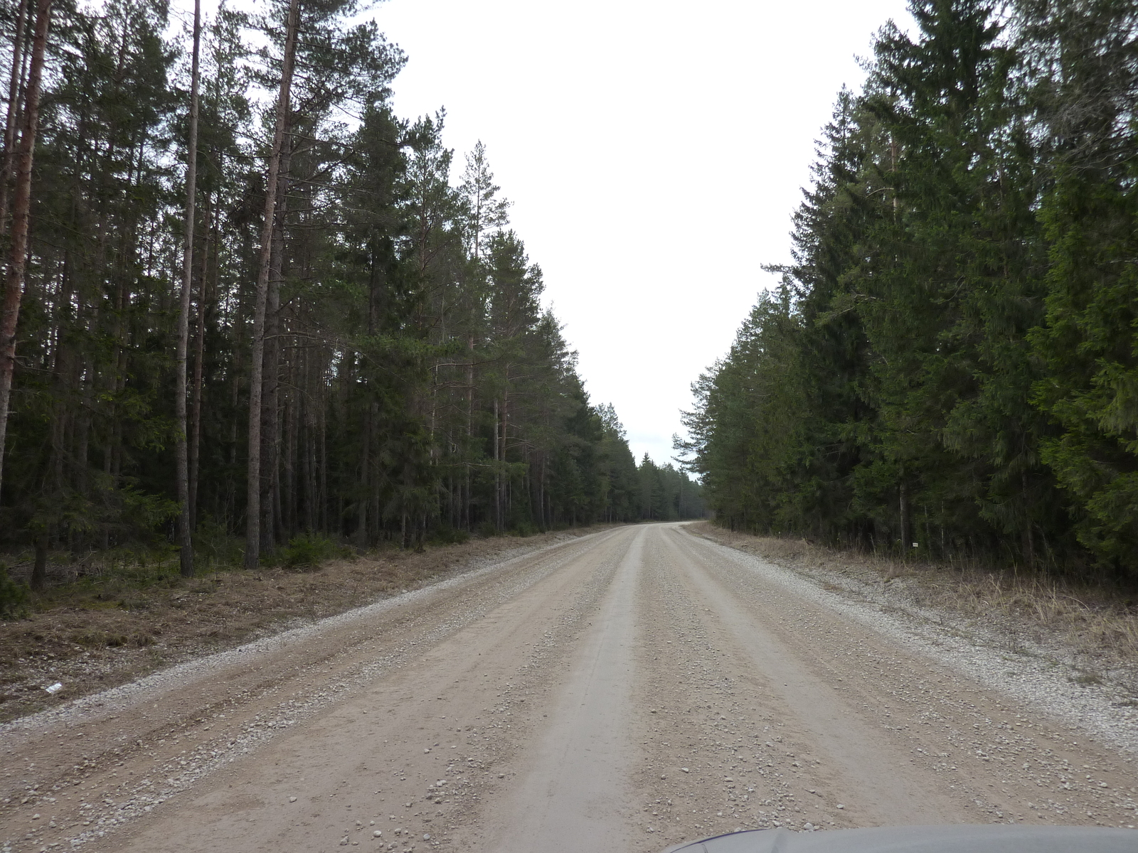 照片 爱沙尼亚(Estonia) 塔林至哈普萨卢公路(Tallinn to Haapsalu road) 2009-04 18