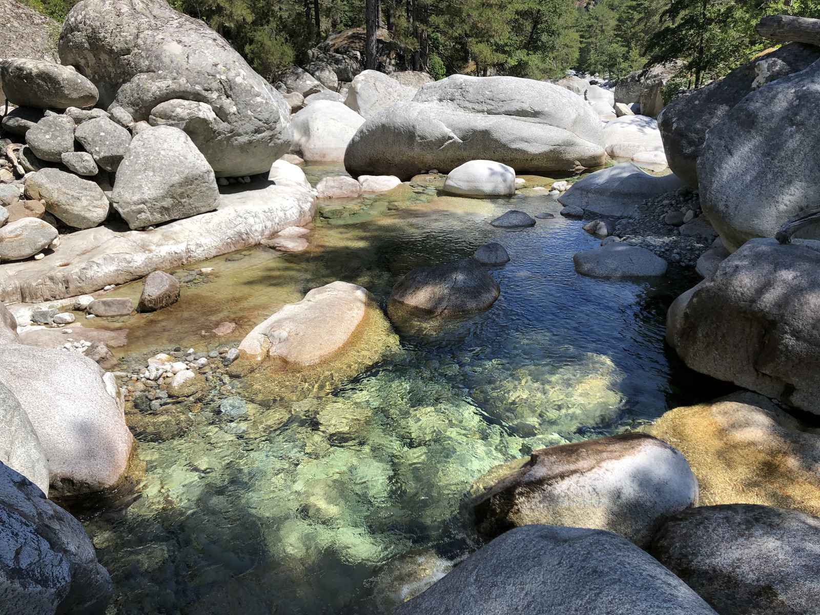 照片 法国(France) 科西嘉岛(Corsica) 雷斯托尼卡山谷(La Restonica) 2020-07 77