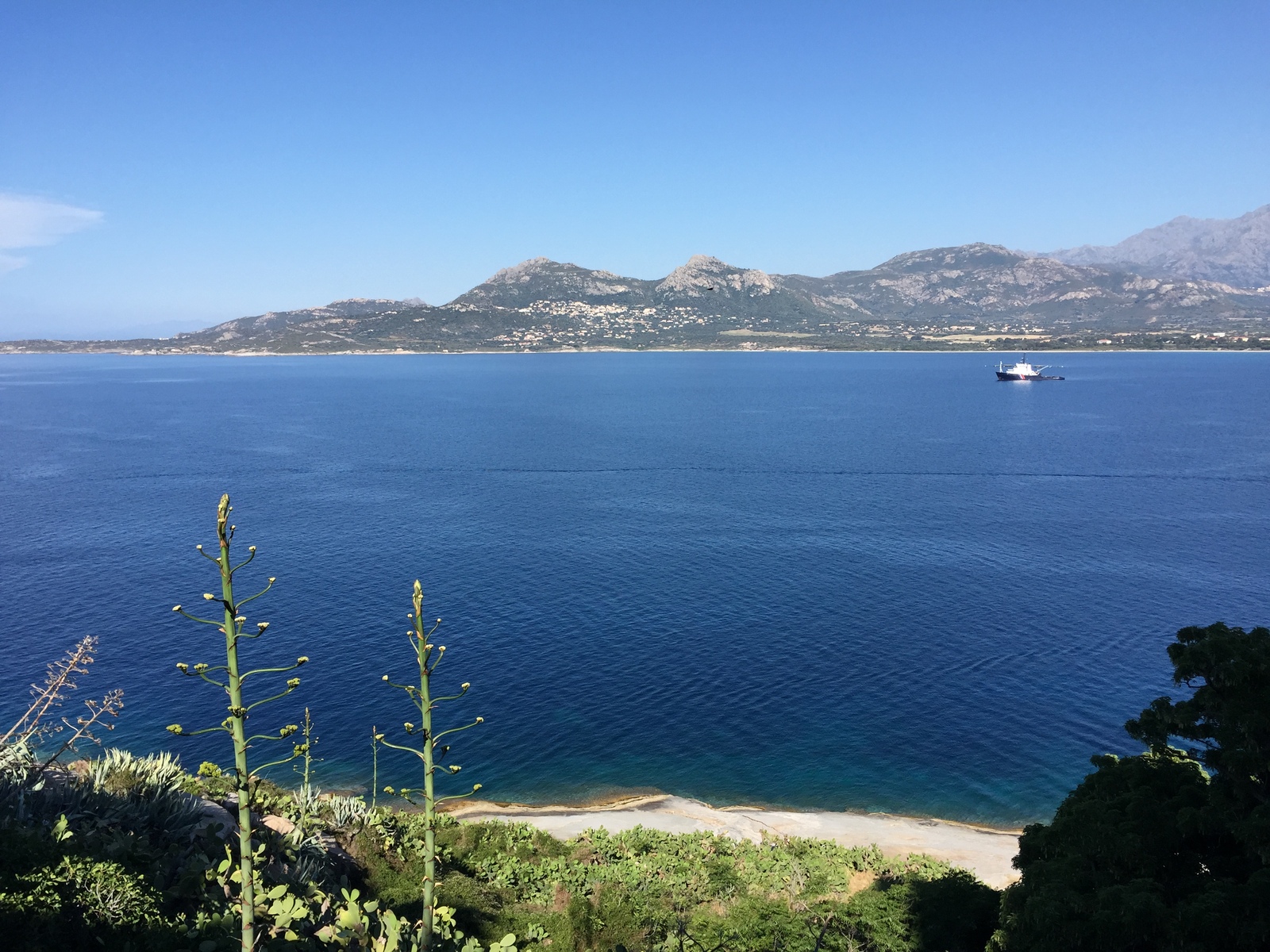 照片 法国(France) 科西嘉岛(Corsica) 卡尔维(Calvi) 2015-05 48