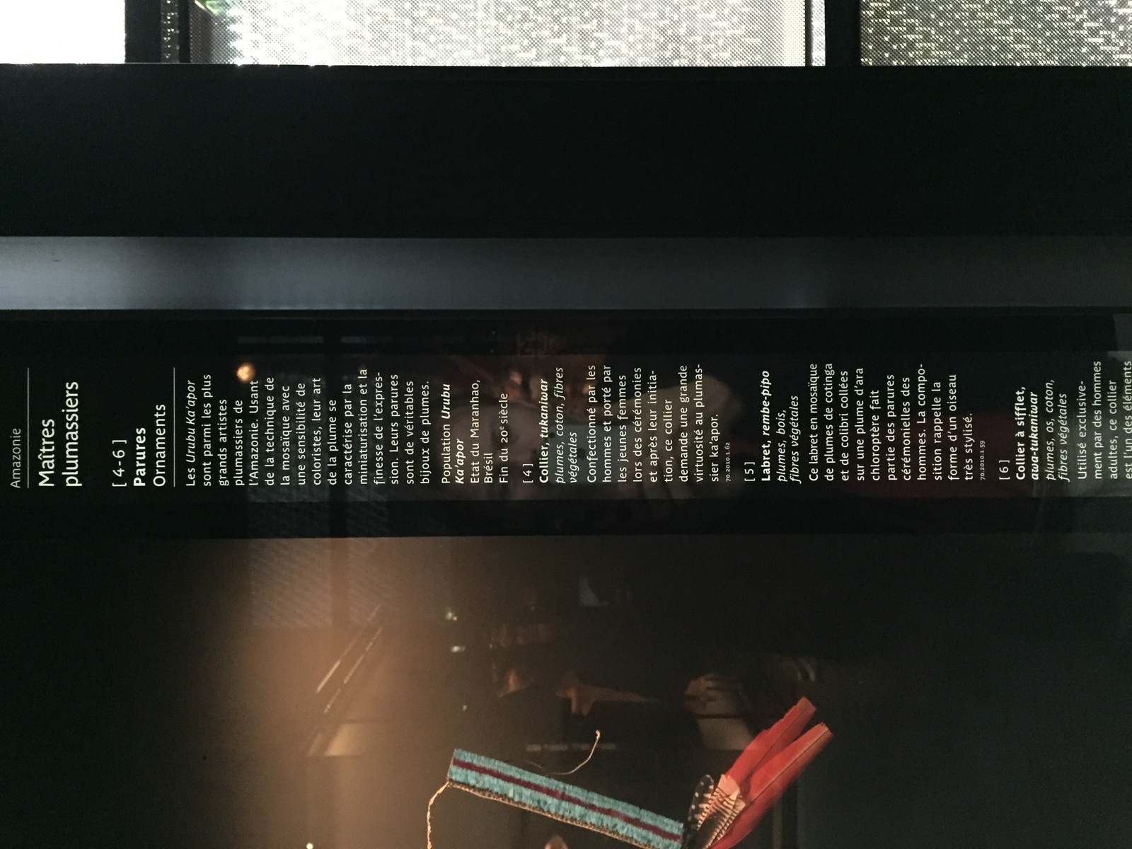 照片 法国(France) 巴黎(Paris) 布朗利河岸博物馆(Quai Branly Museum) 2015-09 13