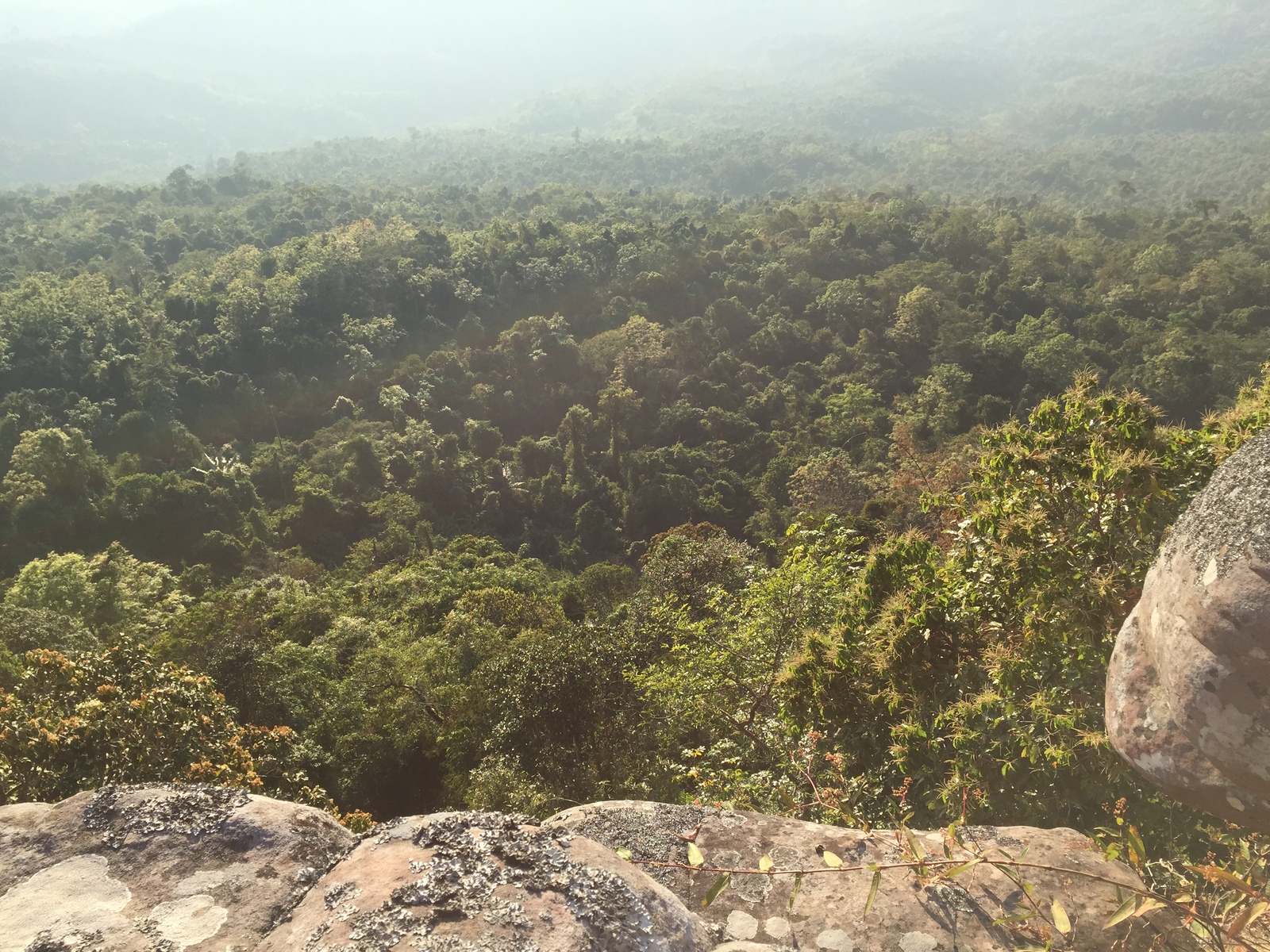 照片 泰国(Thailand) 普欣隆卡国家公园(Phu Hin Rong Kla National Park) 2014-12 335