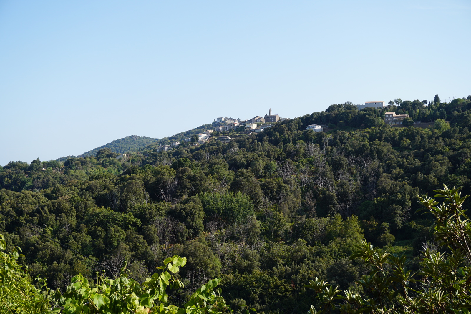 照片 法国(France) 科西嘉岛(Corsica) 文佐拉斯卡(Venzolasca) 2017-09 25
