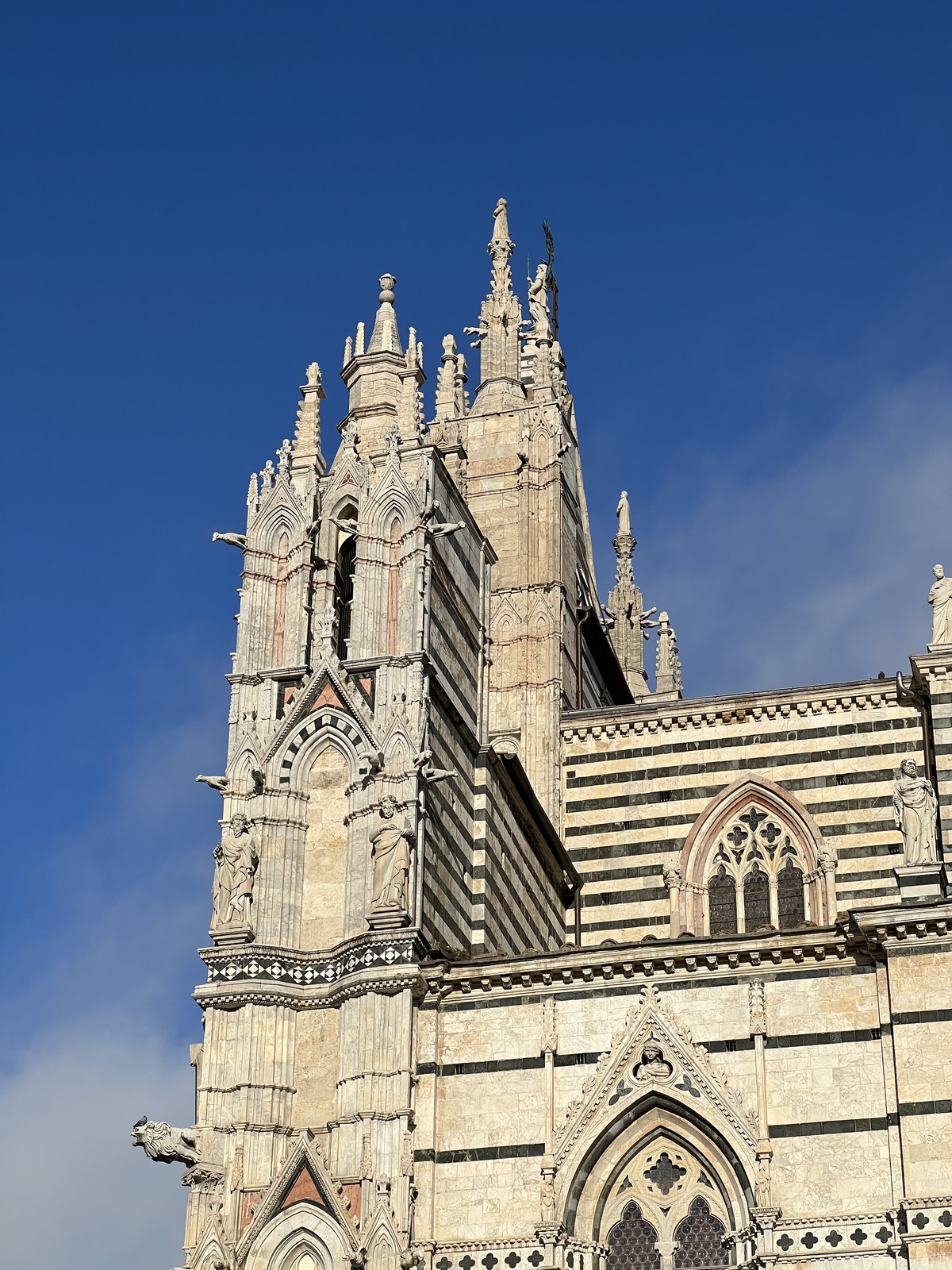 照片 意大利(Italy) 锡耶纳(Siena) 锡耶纳大教堂(Duomo di Siena) 2021-09 86
