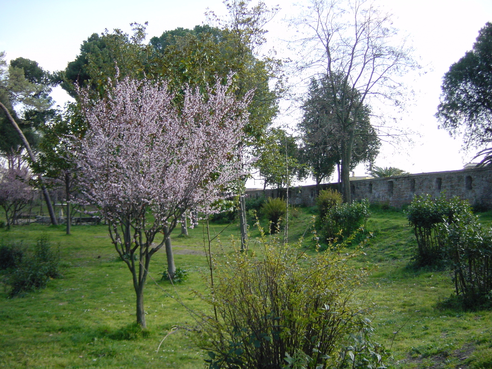 照片 意大利(Italy) 罗马(Rome) 2003-03 6