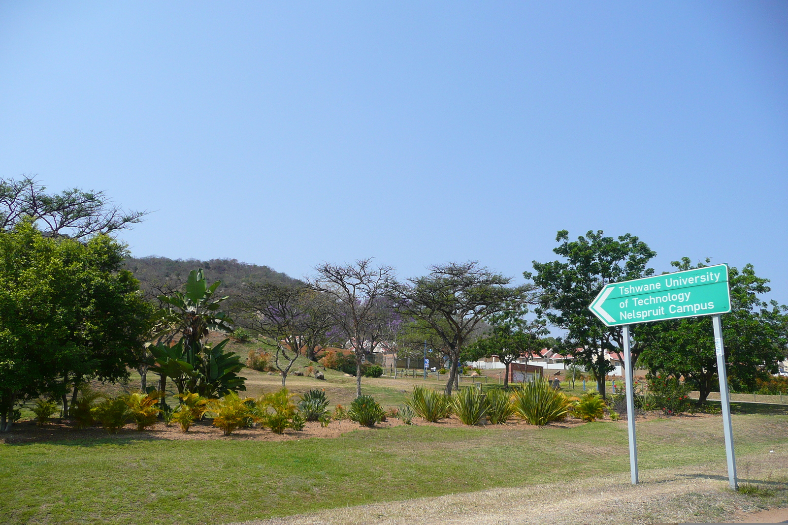 照片 南非(South Africa) 内尔斯普雷特(Nelspruit) 2008-09 14