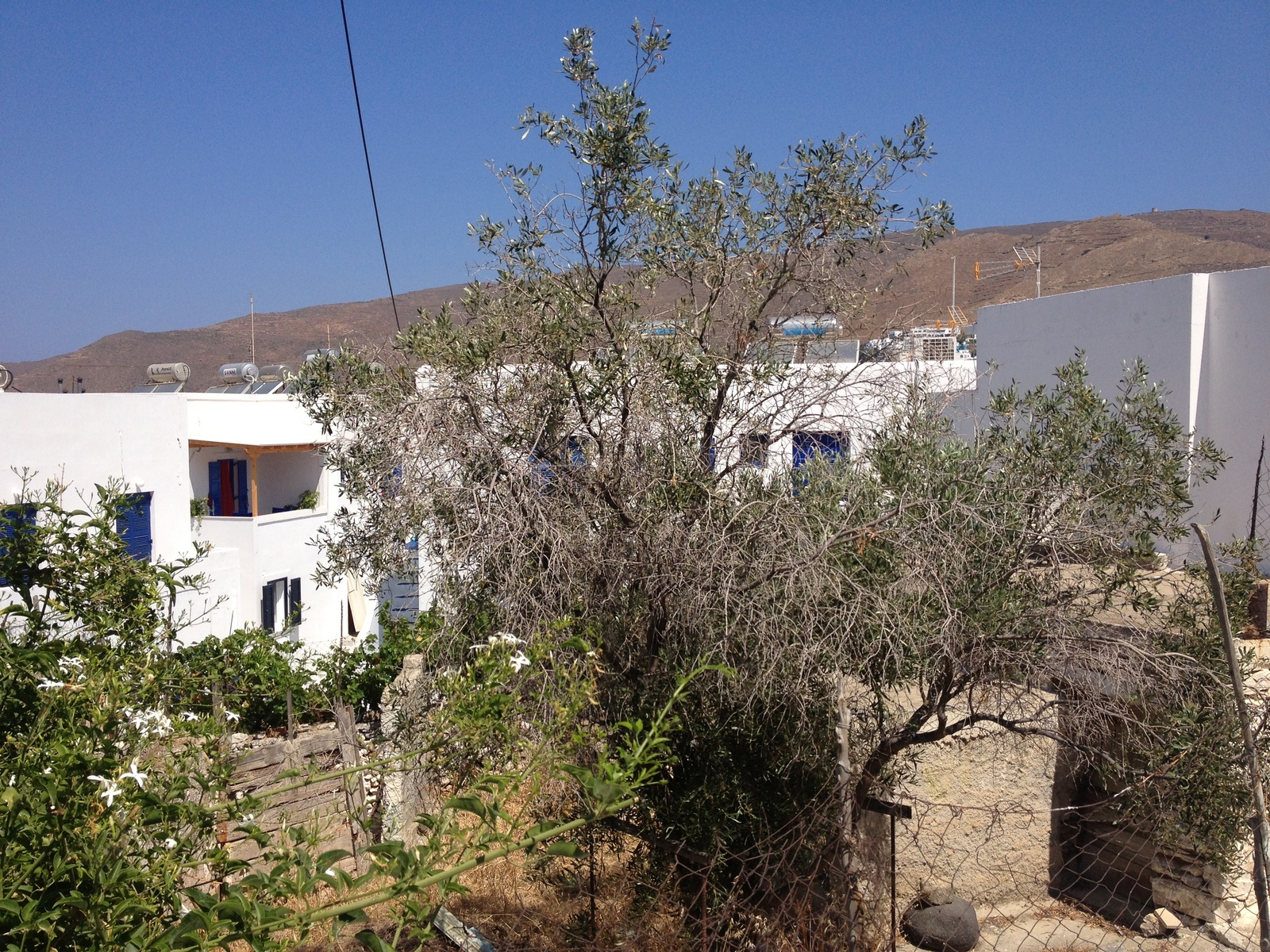 照片 希腊(Greece) 阿莫尔戈斯岛(Amorgos) 2014-07 422
