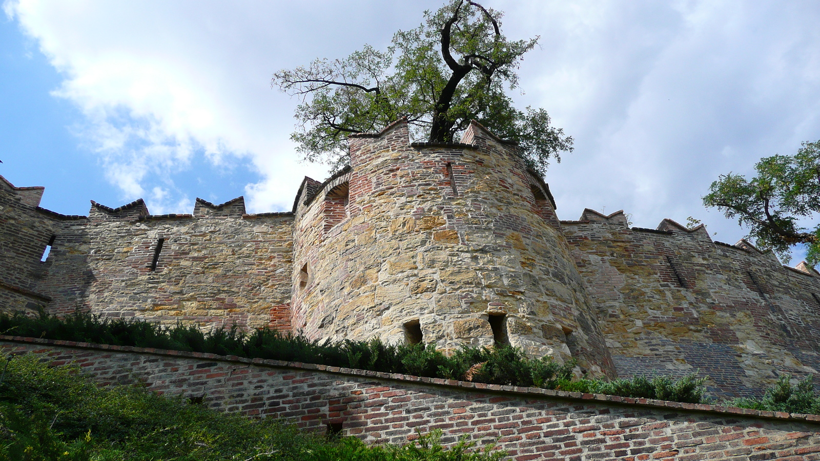 照片 捷克(Czech Republic) 布拉格(Prague) 布拉格城堡(Prague Castle) 2007-07 75