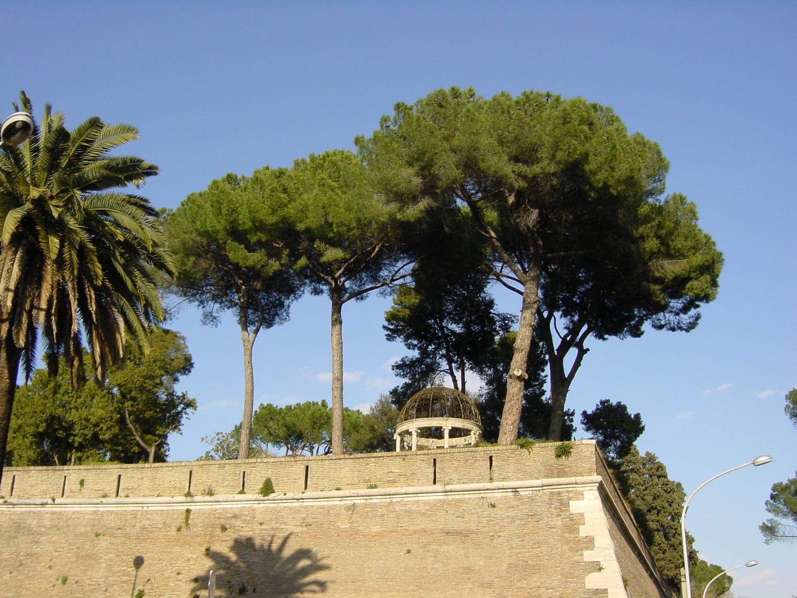 照片 意大利(Italy) 罗马(Rome) 2003-03 4