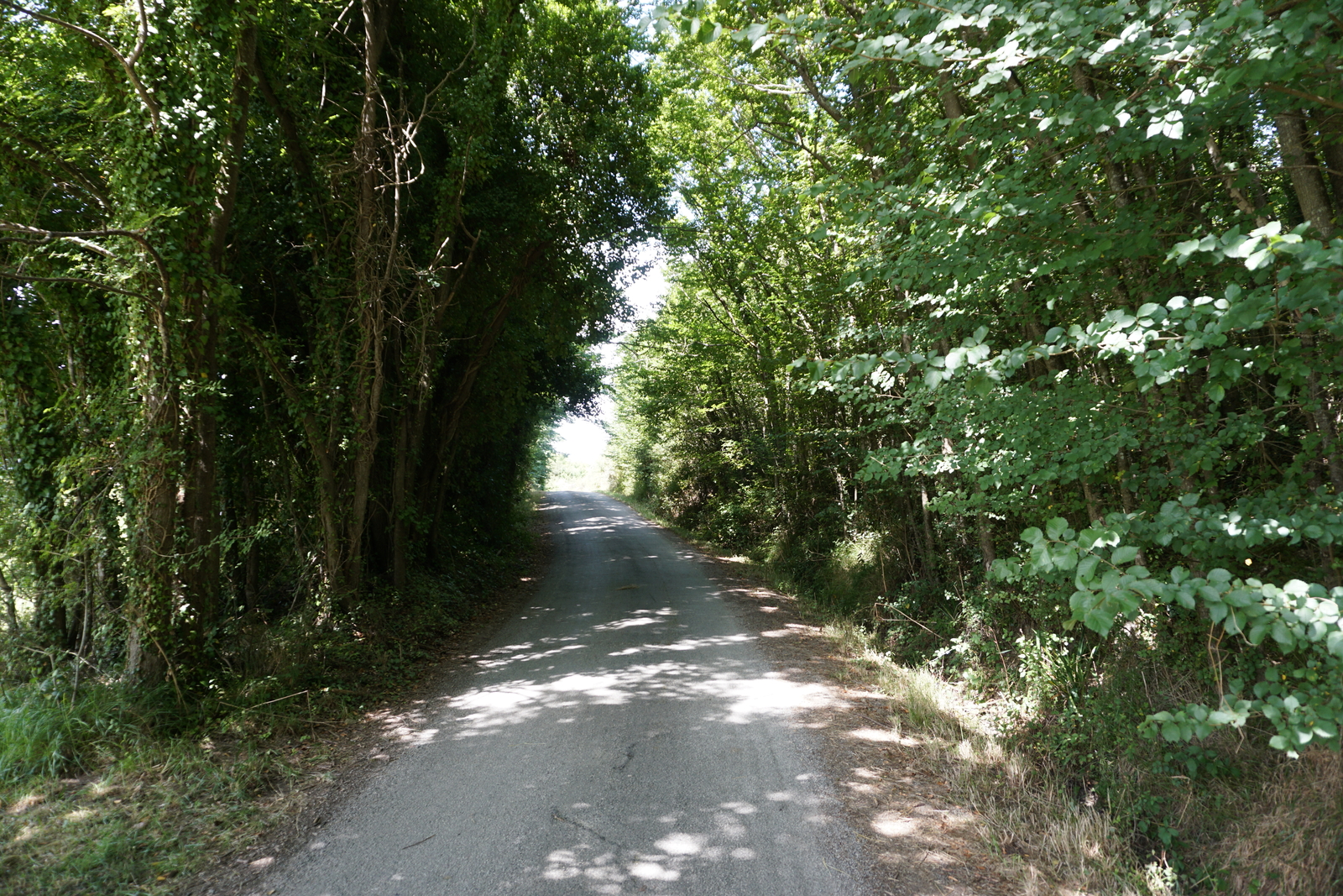 照片 法国(France) 美丽岛(Belle-Ile) 2016-08 33