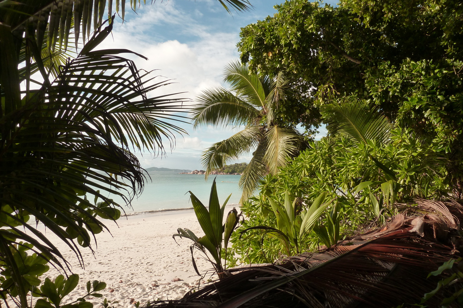 照片 塞舌尔(Seychelles) 拉齐奥湾(Anse Lazio) 2011-10 47