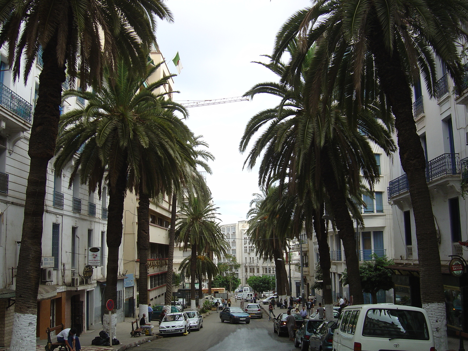 照片 阿尔及利亚(Algeria) 阿尔及尔(Algiers) 2004-09 0
