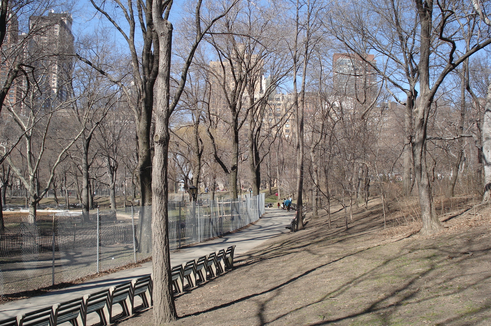 照片 美国(United States) 纽约(New York) 中央公园(Central Park) 2006-03 11