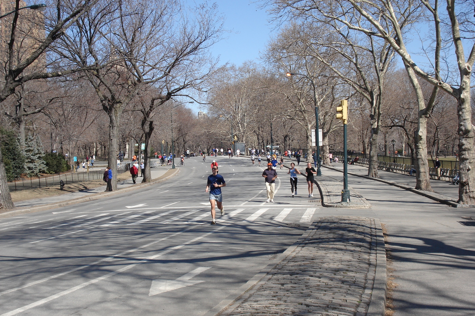 照片 美国(United States) 纽约(New York) 中央公园(Central Park) 2006-03 84