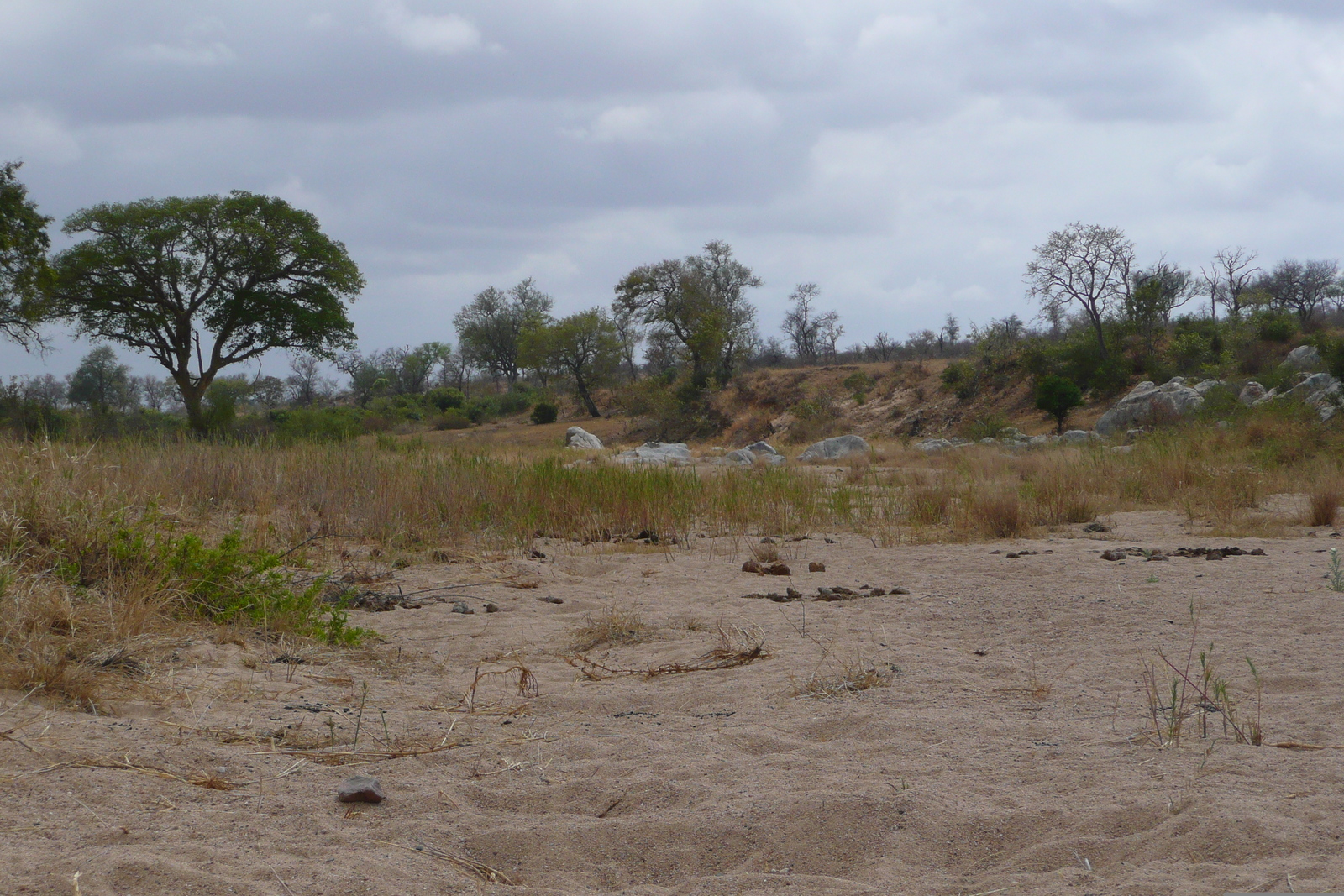 照片 南非(South Africa) 克鲁格国家公园(Kruger National Park) 鳄鱼河公路(Crocodile River road) 2008-09 63