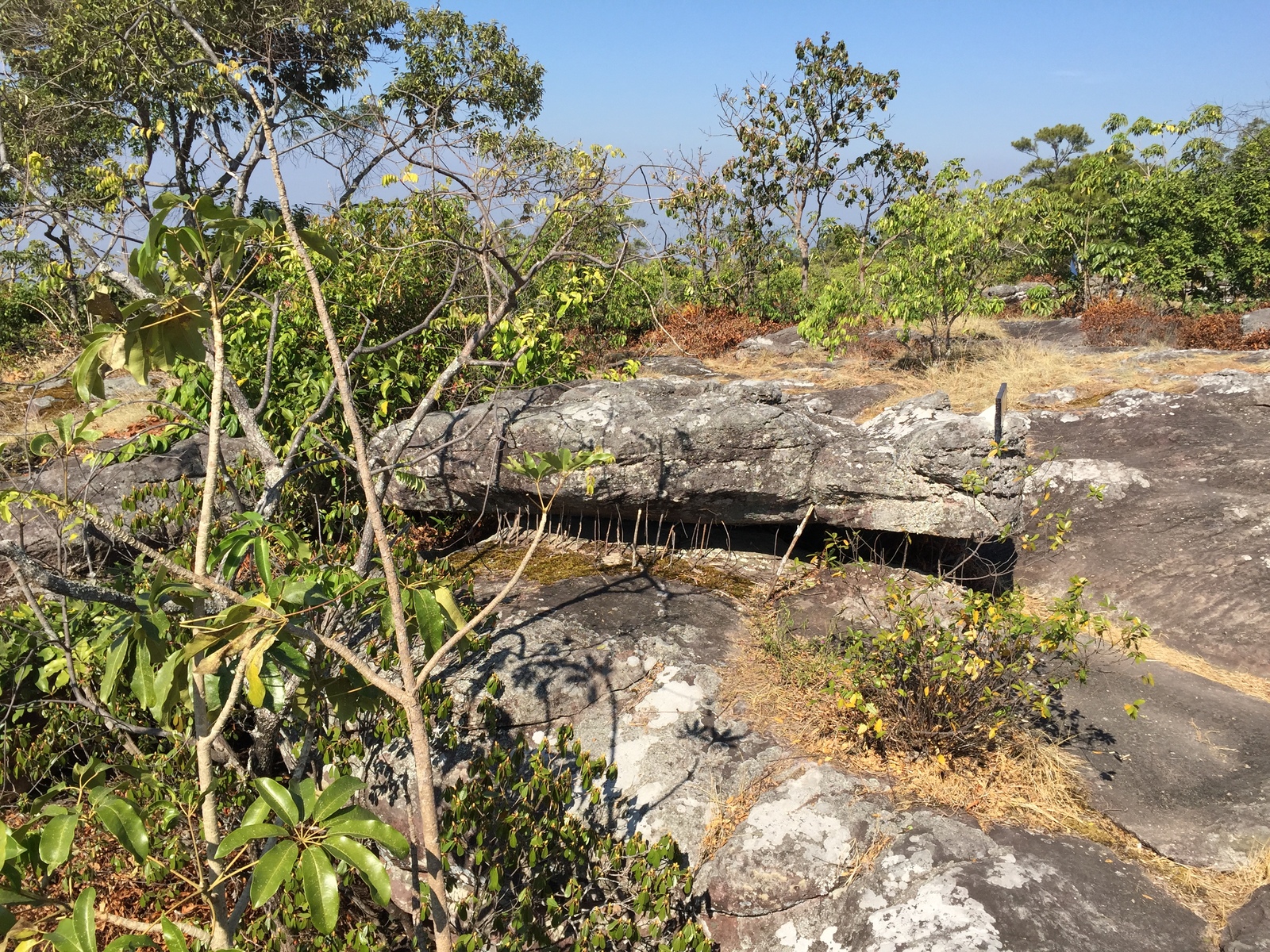 照片 泰国(Thailand) 普欣隆卡国家公园(Phu Hin Rong Kla National Park) 2014-12 30