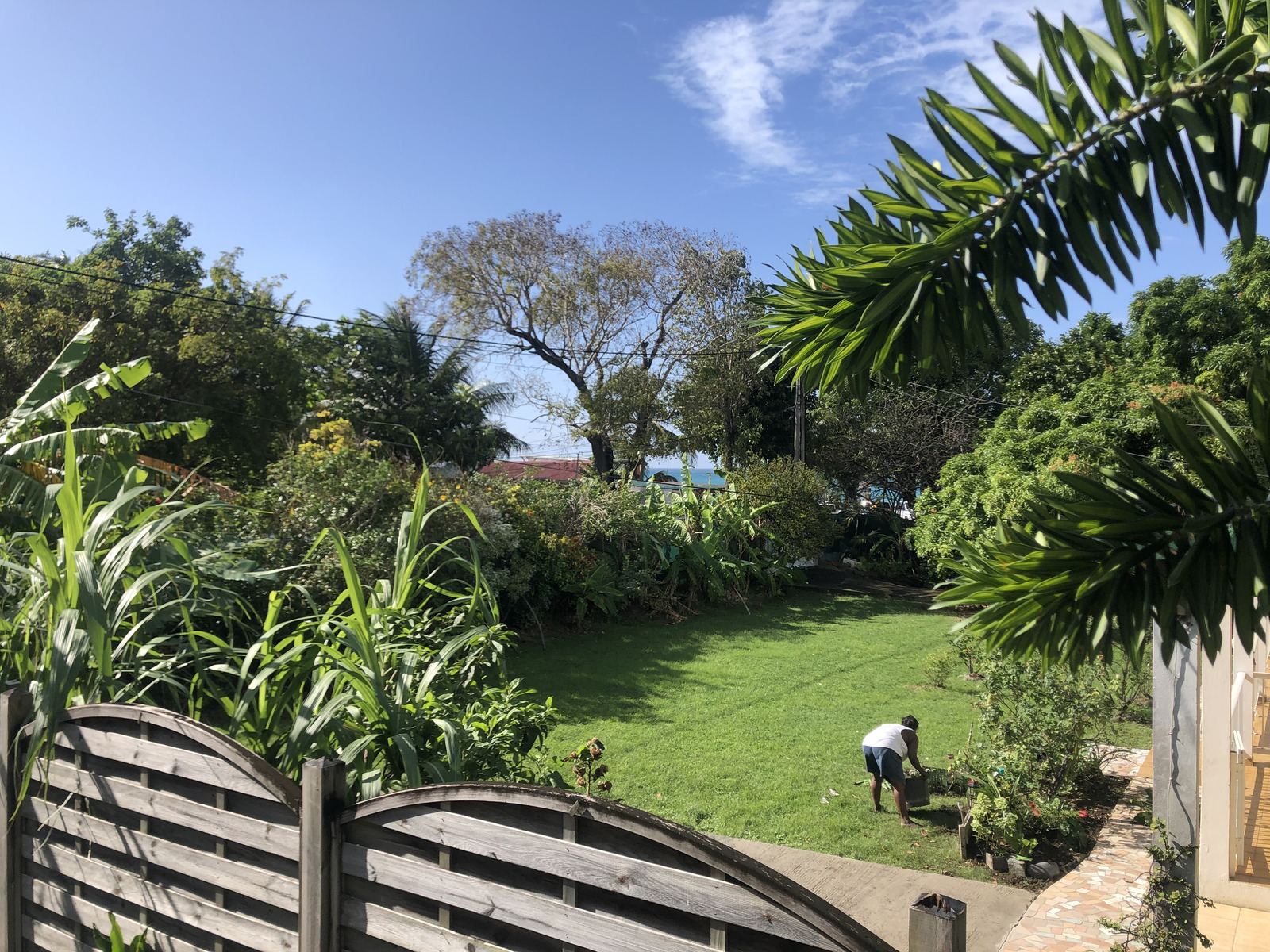 照片 瓜德罗普(Guadeloupe) 珍珠海滩(La Perle Beach) 2021-02 62
