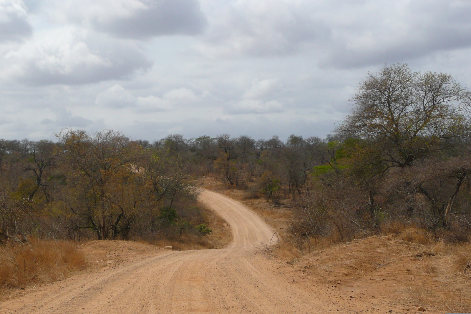 照片 南非(South Africa) 克鲁格国家公园(Kruger National Park) 鳄鱼河公路(Crocodile River road) 2008-09 4