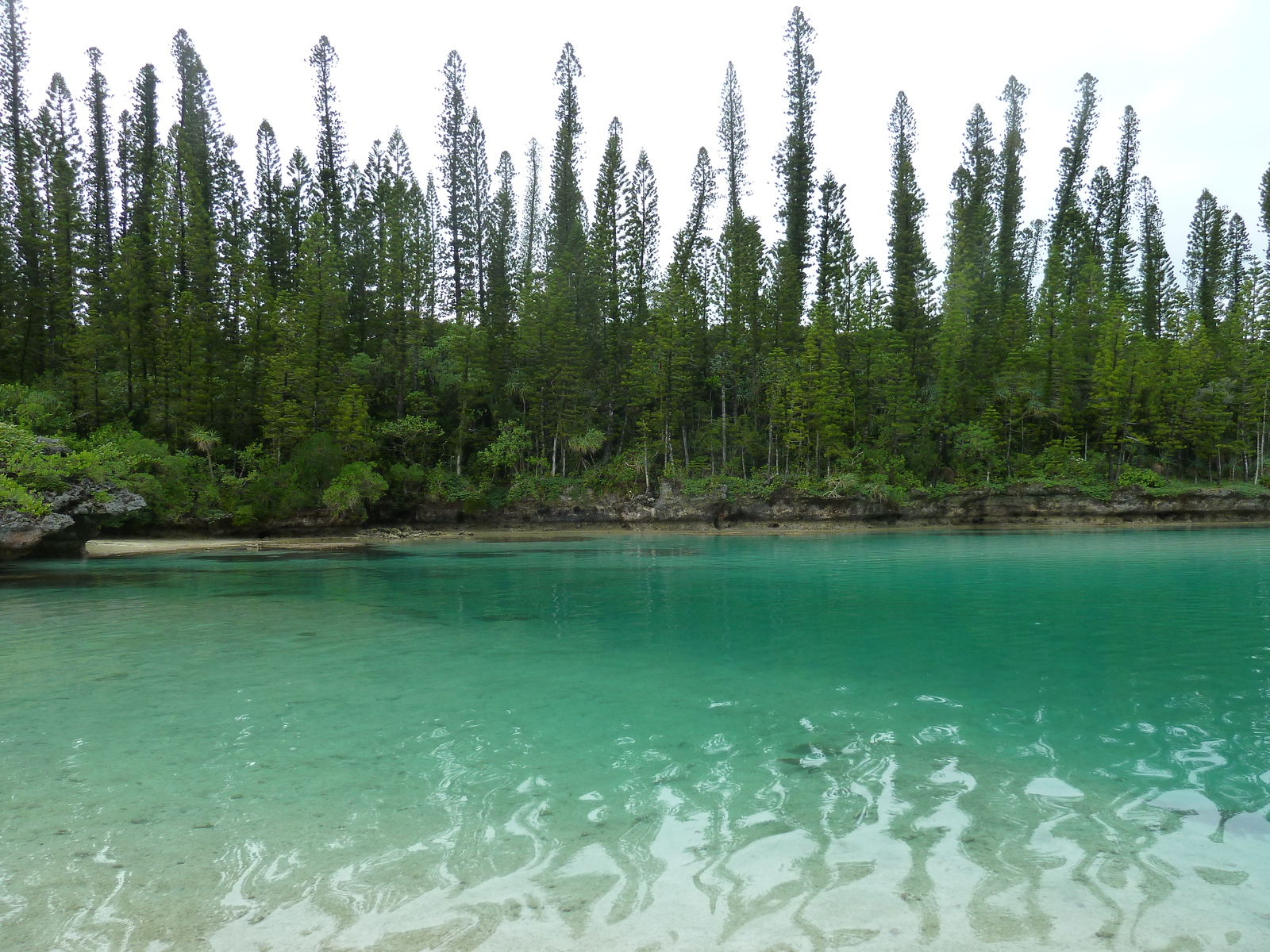 照片 新喀里多尼亚(New Caledonia) 松树岛(Ile des pins) 奥罗湾(Oro Bay) 2010-05 90