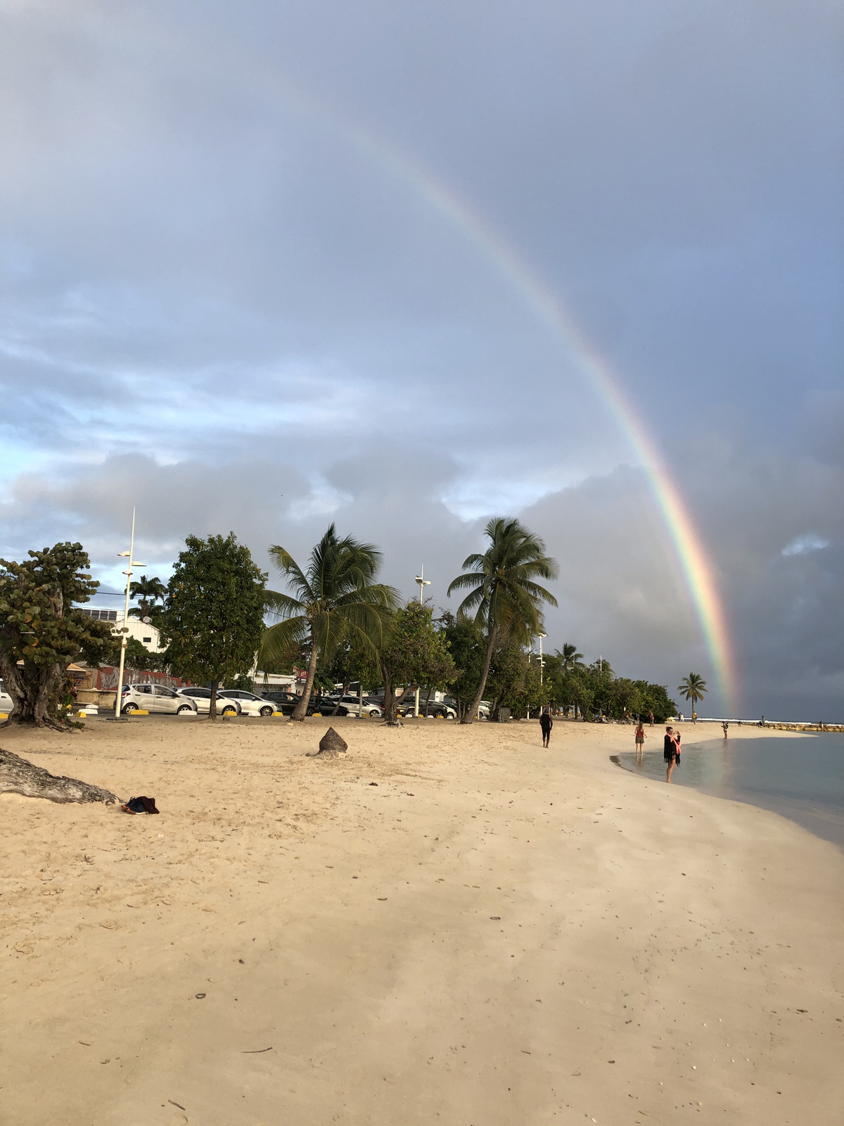照片 瓜德罗普(Guadeloupe) 圣安妮(Sainte Anne) 2021-02 54