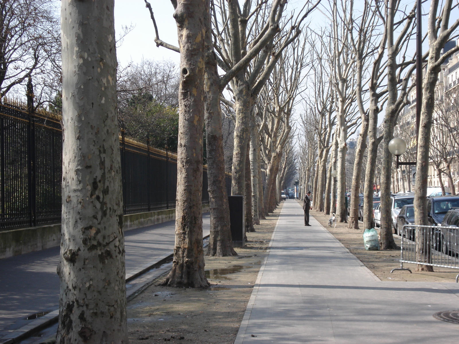 照片 法国(France) 巴黎(Paris) 第十七区(17th Arrondissement) 库尔塞勒大道(Boulevard de Courcelles) 2006-03 8