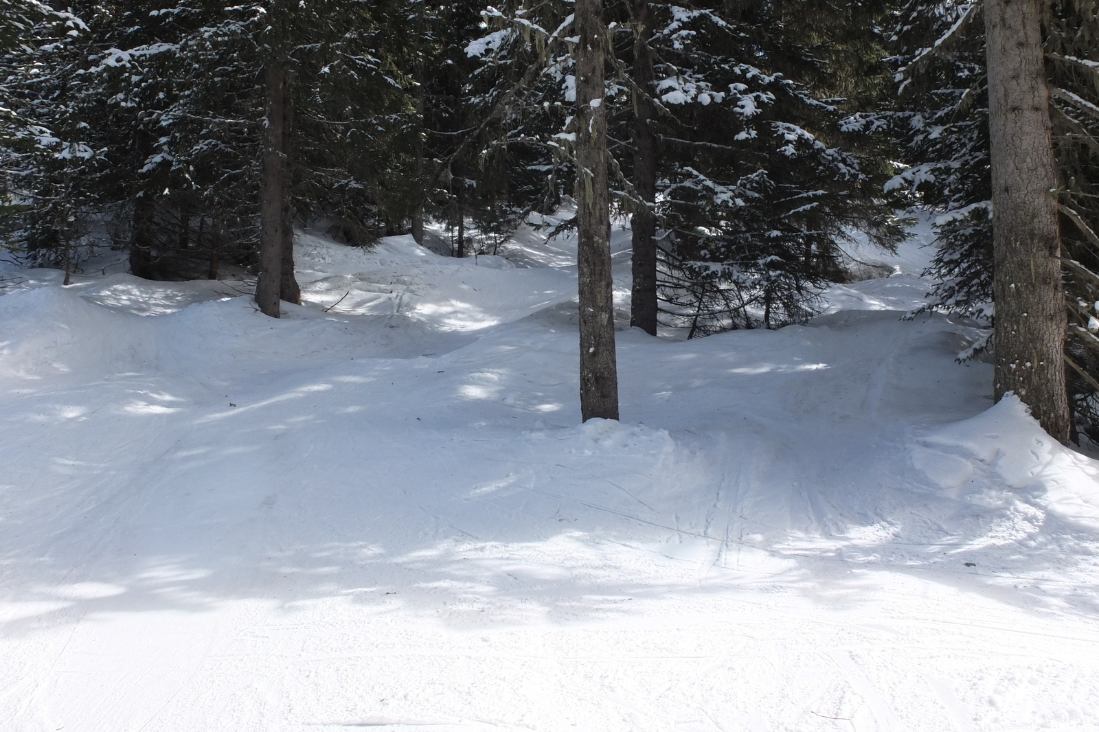 照片 法国(France) 三峡谷滑雪场(Les 3 Vallees) 2013-03 219