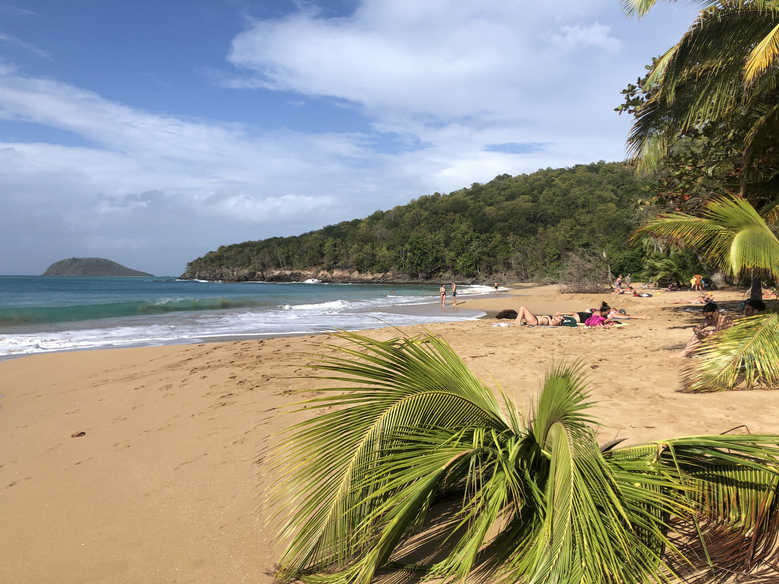 照片 瓜德罗普(Guadeloupe) 珍珠海滩(La Perle Beach) 2021-02 42